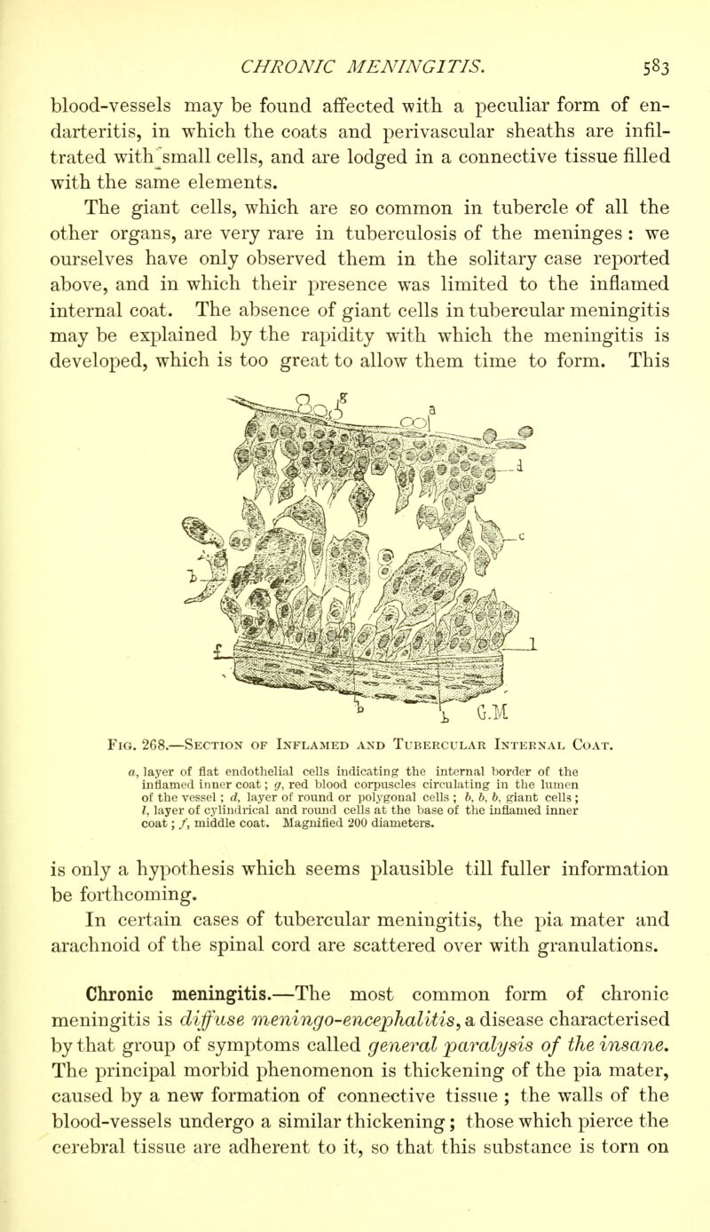 blood-vessels may be found affected with a peculiar form of en- darteritis, in which the coats and perivascular sheaths are infil- trated with^small cells, and are lodged in a connective tissue filled with the same elements. The giant cells, which are so common in tubercle of all the other organs, are very rare in tuberculosis of the meninges : we ourselves have only observed them in the solitary case reported above, and in which their presence was limited to the inflamed internal coat. The absence of giant cells in tubercular meningitis may be explained by the rapidity with which the meningitis is developed, which is too great to allow them time to form. This Fig. 208.—Section of Inflamed and Tubercular Internal Coat. a, layer of flat endothelial cells indicating the internal border of the inflamed inner coat ; g, red blood corpuscles circulating in the lumen of the vessel ; d, layer of round or polygonal cells ; b, b, b, giant cells ; I, layer of cylindrical and round cells at the base of the inflamed inner coat ; /, middle coat. Magnified 200 diameters. is only a hypothesis which seems plausible till fuller information be forthcoming. In certain cases of tubercular meningitis, the pia mater and arachnoid of the spinal cord are scattered over with granulations. Chronic meningitis.—The most common form of chronic meningitis is diffuse meningoencephalitis, a disease characterised by that group of symptoms called general paralysis of the insane. The principal morbid phenomenon is thickening of the pia mater, caused by a new formation of connective tissue ; the walls of the blood-vessels undergo a similar thickening ; those which pierce the cerebral tissue are adherent to it, so that this substance is torn on