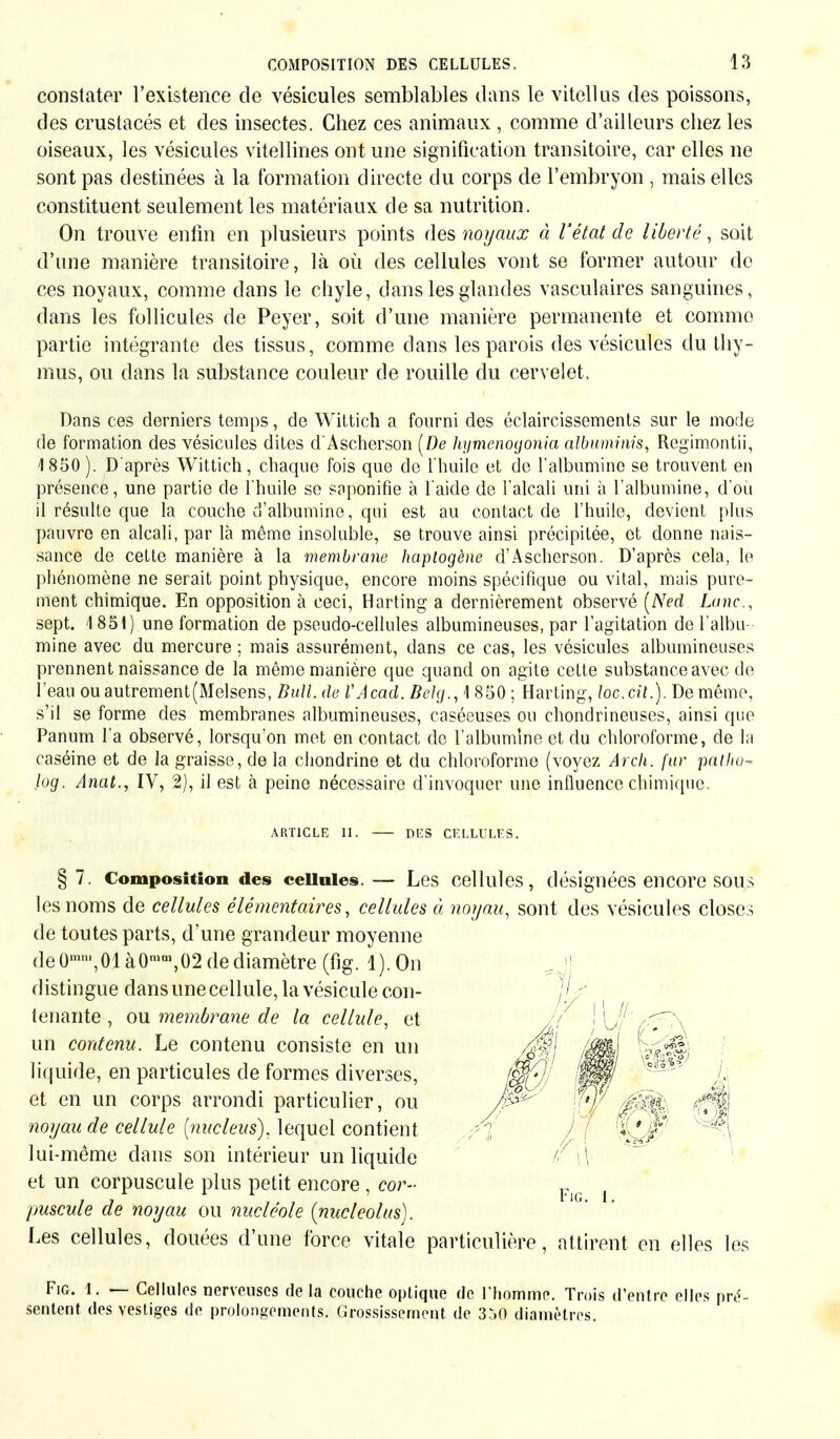 constater l'existence de vésicules semblables dans le vitellus des poissons, des crustacés et des insectes. Chez ces animaux , comme d'ailleurs chez les oiseaux, les vésicules vitellines ont une signification transitoire, car elles ne sont pas destinées à la formation directe du corps de l'embryon , mais elles constituent seulement les matériaux de sa nutrition. On trouve enfin en plusieurs points des noyaux à l'état de liberté, soit d'une manière transitoire, là où des cellules vont se former autour de ces noyaux, comme dans le chyle, dans les glandes vasculaires sanguines, dans les follicules de Peyer, soit d'une manière permanente et comme partie intégrante des tissus, comme dans les parois des vésicules du thy- mus, ou dans la substance couleur de rouille du cervelet. Dans ces derniers temps, do Wittich a fourni des éclaircissements sur le mode de formation des vésicules dites d'Ascherson [De hymenoyônia albuminis, Regïmontii, 1850 ). D'après Wittich, chaque fois que do l'huile et do l'albumine se trouvent en présence, une partie de l'huile se saponifie à l'aide de l'alcali uni à l'albumine, d'où il résulte que la couche d'albumine, qui est au contact de l'huile, devient plus pauvre en alcali, par là même insoluble, se trouve ainsi précipitée, et donne nais- sance de cette manière à la membrane haptogène d'Ascherson. D'après cela, le phénomène ne serait point physique, encore moins spécifique ou vital, mais pure- ment chimique. En opposition à ceci, Harting a dernièrement observé [Ned Lune, sept. 1851) une formation de pseudo-cellules albumineuses, par l'agitation de l'albu- mine avec du mercure ; mais assurément, dans ce cas, les vésicules albumineuses prennent naissance de la même manière que quand on agite cette substance avec de l'eau ouautrement(Melsens, Bull, de VAcad. Belg., 1 850 ; Harting, toc.cil.). De même, s'il se forme des membranes albumineuses, caséeuses ou chondrineuses, ainsi que Panum l'a observé, lorsqu'on met en contact de l'albumine et du chloroforme, de la caséine et de la graisse, de la chondrine et du chloroforme (voyez Ar ch. fur patho- log. Anat., IV, 2), il est à peine nécessaire d'invoquer une influence chimique. ARTICLE II. DES CELLULES. §7. Composition des cellules.— Les cellules, désignées encore sous les noms de cellules élémentaires, cellules à noyau, sont des vésicules closes de toutes parts, d'une grandeur moyenne de 0mn,,0.1 àOmm,02 de diamètre (fig. l).On distingue dans une cellule, la vésicule con- tenante , ou membrane de la cellule, et un contenu. Le contenu consiste en un liquide, en particules de formes diverses, et en un corps arrondi particulier, ou noyau de cellule [nucleus), lequel contient lui-môme dans son intérieur un liquide et un corpuscule plus petit encore , cor- Fjg puscule de noyau ou nucléole (nucleolus). Les cellules, douées d'une force vitale particulière, attirent en elles les Fig. 1. — Cellules nerveuses de la couche optique de l'homme. Trois d'entre elles pré- sentent des vestiges de prolongements. Grossissement de 3r>0 diamètres.