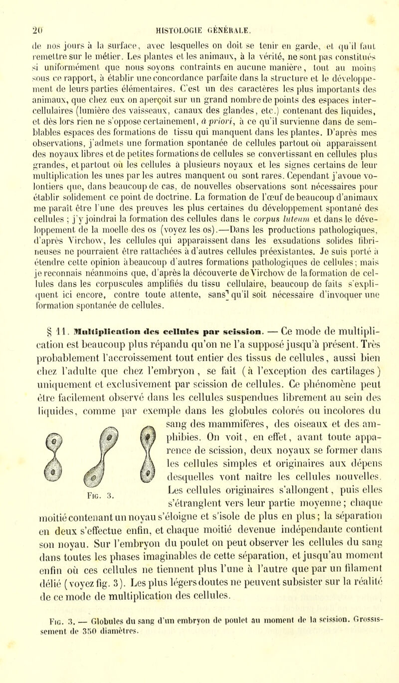 de nos jours à la surface, avec lesquelles on doit se tenir en garde, et qu'il faut remettre sur le métier. Les plantes et les animaux, à la vérité, ne sont pas constitués si uniformément que nous soyons contraints en aucune manière, tout au moins sous ce rapport, à établir une concordance parfaite dans la structure et le développe- ment de leurs parties élémentaires. C'est un des caractères les plus importants des animaux, que chez eux on aperçoit sur un grand nombre de points des espaces inter- cellulaires (lumière des vaisseaux, canaux des glandes, etc.) contenant des liquides, et dès lors rien ne s'oppose certainement, à priori, à ce qu'il survienne dans de sem- blables espaces des formations de tissu qui manquent dans les plantes. D'après mes observations, j'admets une formation spontanée de cellules partout où apparaissent des noyaux libres et de petites formations de cellules se convertissant en cellules plus grandes, et partout où les cellules à plusieurs noyaux et les signes certains de leur multiplication les unes parles autres manquent ou sont rares. Cependant j'avoue vo- lontiers que, dans beaucoup de cas, de nouvelles observations sont nécessaires pour établir solidement ce point de doctrine. La formation de l'œuf de beaucoup d'animaux me paraît être l'une des preuves les plus certaines du développement spontané des cellules ; j'y joindrai la formation des cellules dans le corpus luteum et dans le déve- loppement de la moelle des os (voyez les os).—Dans les productions pathologiques, d'après Yirchow, les cellules qui apparaissent dans les exsudations solides fibri- neuses ne pourraient être rattachées à d'autres cellules préexistantes. Je suis porté à étendre cette opinion àbeaucoup d'autres formations pathologiques de cellules; mais je reconnais néanmoins que, d'après la découverte de Yirchow de la formation de cel- lules dans les corpuscules amplifiés du tissu cellulaire, beaucoup de faits s'expli- quent ici encore, contre toute attente, sans] qu'il soit nécessaire d'invoquer une formation spontanée de cellules. §11. Multiplication des cellules par scission. — Ce mode de multipli- cation est beaucoup plus répandu qu'on ne l'a supposé jusqu'à présent. Très probablement l'accroissement tout entier des tissus de cellules, aussi bien chez l'adulte que chez l'embryon, se fait (à l'exception des cartilages) uniquement et exclusivement par scission de cellules. Ce phénomène peut être facilement observé dans les cellules suspendues librement au sein des liquides, comme par exemple dans les globules colorés ou incolores du ~ sang des mammifères, des oiseaux et des am- §1 phibies. On voit, en effet, avant toute appa- | ronce de scission, deux noyaux se former dans là les cellules simples et originaires aux dépens |l desquelles vont naître les cellules nouvelles. Les cellules originaires s'allongent, puis elles s'étranglent vers leur partie moyenne ; chaque moitié contenant un noyau s'éloigne et s'isole de plus en plus; la séparation en deux s'effectue enfin, et chaque moitié devenue indépendante contient son noyau. Sur l'embryon du poulet on peut observer les cellules du sang dans toutes les phases imaginables de cette séparation, et jusqu'au moment enfin où ces cellules ne tiennent plus l'une à l'autre que par un filament délié (voyez fig. 3). Les plus légers doutes ne peuvent subsister sur la réalité de ce mode de multiplication des cellules. Fig. 3. — Globules du sang d'un embryon de poulet au moment de la seissiou. Grossis- sement de 350 diamètres.