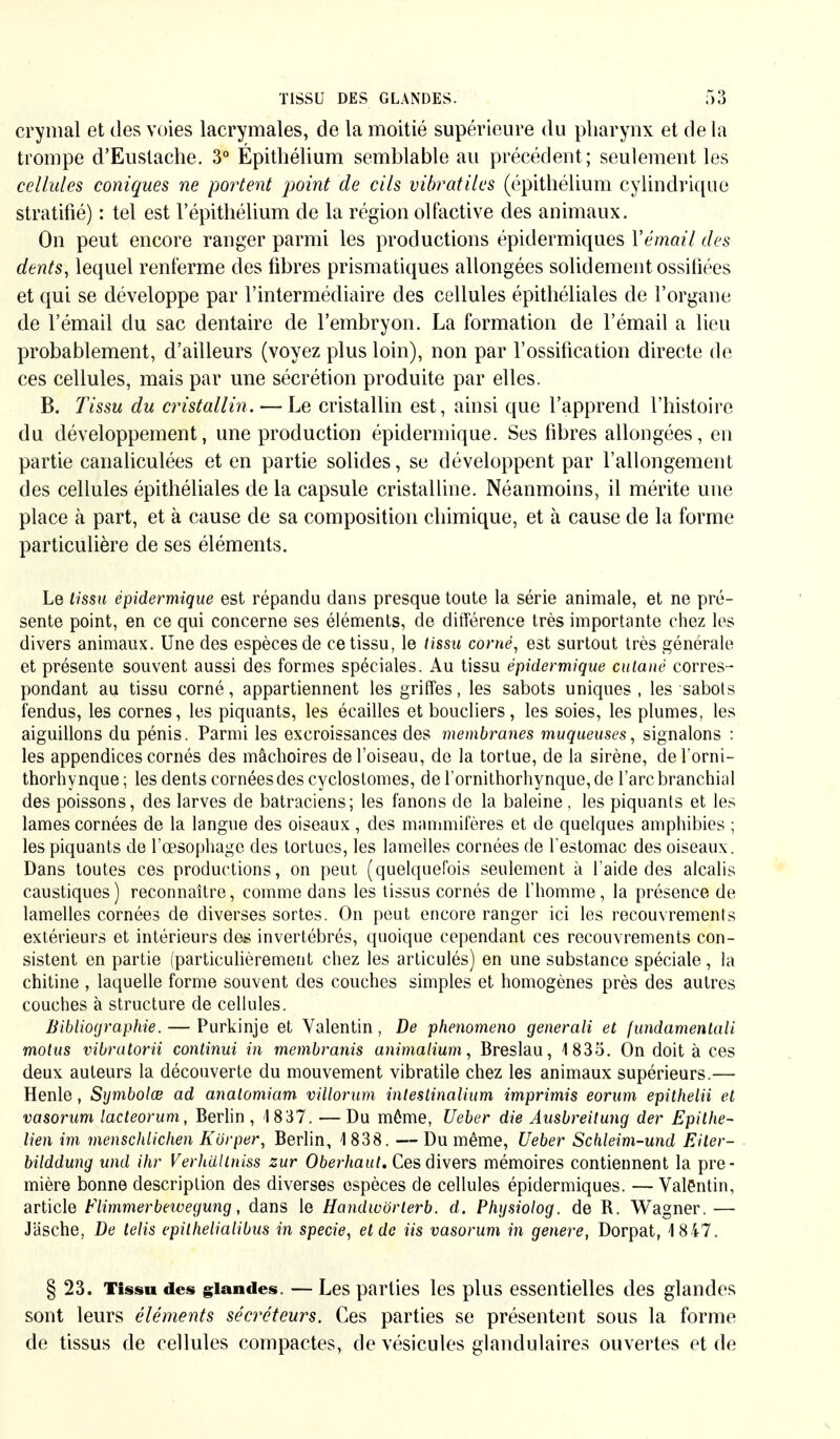 crymal et des voies lacrymales, de la moitié supérieure du pharynx et de la trompe d'Euslache. 3° Épithélium semblable au précédent; seulement les cellules coniques ne portent point de cils vibratiles (épithélium cylindrique stratifié) : tel est l'épithélium de la région olfactive des animaux. On peut encore ranger parmi les productions épidermiques Y émail des dents, lequel renferme des fibres prismatiques allongées solidement ossifiées et qui se développe par l'intermédiaire des cellules épithéliales de l'organe de l'émail du sac dentaire de l'embryon. La formation de l'émail a lieu probablement, d'ailleurs (voyez plus loin), non par l'ossification directe de ces cellules, mais par une sécrétion produite par elles. B. Tissu du cristallin. — Le cristallin est, ainsi que l'apprend l'histoire du développement, une production épidermique. Ses fibres allongées, en partie canaliculées et en partie solides, se développent par l'allongement des cellules épithéliales de la capsule cristalline. Néanmoins, il mérite une place à part, et à cause de sa composition chimique, et à cause de la forme particulière de ses éléments. Le tissu épidermique est répandu dans presque toute la série animale, et ne pré- sente point, en ce qui concerne ses éléments, de différence très importante chez les divers animaux. Une des espèces de ce tissu, le tissu corné, est surtout très générale et présente souvent aussi des formes spéciales. Au tissu épidermique cutané corres- pondant au tissu corné, appartiennent les griffes, les sabots uniques, les sabots fendus, les cornes, les piquants, les écailles et boucliers, les soies, les plumes, les aiguillons du pénis. Parmi les excroissances des membranes muqueuses, signalons : les appendices cornés des mâchoires de l'oiseau, de la tortue, de la sirène, del'orni- thorhynque ; les dents cor nées des cyclostomes, de l*ornithorhynque,de l'arc branchial des poissons, des larves de batraciens; les fanons de la baleine, les piquants et les lames cornées de la langue des oiseaux, des mammifères et de quelques amphibies ; les piquants de l'œsophage des tortues, les lamelles cornées de l'estomac des oiseaux. Dans toutes ces productions, on peut, (quelquefois seulement à l'aide des alcalis caustiques ) reconnaître, comme dans les tissus cornés de l'homme, la présence de lamelles cornées de diverses sortes. On peut encore ranger ici les recouvrements extérieurs et intérieurs des invertébrés, quoique cependant ces recouvrements con- sistent en partie (particulièrement chez les articulés) en une substance spéciale, la chitine , laquelle forme souvent des couches simples et homogènes près des autres couches à structure de cellules. Bibliographie. — Purkinje et Valentin , De phenomeno generali et fundamentali motus vibratorii continui in membranis animalium, Breslau, 1835. On doit à ces deux auteurs la découverte du mouvement vibratile chez les animaux supérieurs.— Henle, Symbolœ ad anatomiam. villorum intestinalium imprimis eorum epithelii et vasorum lacteorum, Berlin , 4 837. — Du môme, lieber die Ausbreitung der Epithe- lien im menschlichen Körper, Berlin, 1 838. —Du même, Ueber Schleim-und Eiter- bilddung und ihr Verhällniss zur Oberhaut. Ces divers mémoires contiennent la pre- mière bonne description des diverses espèces de cellules épidermiques. —Valentin, article Flimmerbewegung, dans le Handwôrlerb. d. Physiolog. de R. Wagner.— Jäsche, De telis epitheliaiibus in specie, et de Us vasorum in génère, Dorpat, 1847. § 23. Tissu des glandes. — Les parties les plus essentielles des glandes sont leurs éléments sécréteurs. Ces parties se présentent sous la forme de tissus de cellules compactes, de vésicules glandulaires ouvertes et de