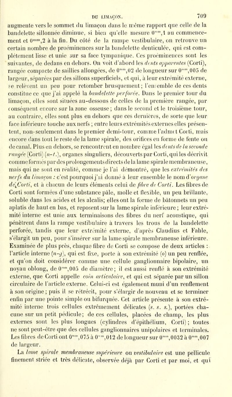 augmente vers le sommet du limaçon dans le même rapport que celle de la bandelette sillonnée diminue, si bien qu'elle mesure (), 1 au commence- ment et 0mm,2 à la fin. Du côté de la rampe vestibuläre, on retrouve un certain nombre de proéminences sur la bandelette denliculée, qui est com- plètement lisse et unie sur sa face tympanique. Ces proéminences sont les suivantes, de dedans en dehors. On voit d'abord les doits apparentes (Corti), rangée compacte de saillies allongées, de 0n'm,U2 de longueur sur 0,005 de largeur, séparées par des sillons superficiels, et qui, à leur extrémité externe, ee relèvent un peu pour retomber brusquement; l'ensemble de ces dents constitue ce que j'ai appelé la bandelette perforée. Dans le premier tour du limaçon, elles sont situées au-dessous de celles de la première rangée, par conséquent encore sur la zone osseuse ; dans le second et le troisième tour, au contraire, elles sont plus en dehors que ces dernières, de sorte que leur face inférieure touche aux nerfs ; entre leurs extrémités externes elles présen- tent, non-seulement dans le premier demi-tour, comme l'admet Corti, mais encore dans tout le reste de la lame spirale, des orifices eu forme de fente ou de canal. Plus en dehors, se rencontrent en nombre égal les dents de la seconde rangée (Corti) [n-t.), organes singuliers, découverts par Corti, qui les décrivit comme formés par des prolongements d irects delà lame spirale membraneuse, mais qui ne sont en réalité, comme je l'ai démontré, que les extrémités des nerfs du limaçon : c'est pourquoi j'ai donné à leur ensemble le nom d''organe delCorti, et à chacun de leurs éléments celui de fibre de Corti. Les fibres de Corti sont formées d'une substance pâle, molle et flexible, un peu brillante, soluble dans les acides et les alcalis; elles ont la forme de bâtonnets un peu aplatis de hauten bas, et reposent sur la lame spirale inférieure; leur extré- mité interne est unie aux terminaisons des fibres du nerf acoustique, qui pénètrent dans la rampe vestibuläre à travers les trous de la bandelette perforée, tandis que leur extrémité externe, d'après Claudius et Fahle, s'élargit un peu, pour s'insérer sur la lame spirale membraneuse inférieure. Examinée de plus près, chaque fibre de Corti se compose de deux articles : l'article interne (n-g), qui est fixe, porte à son extrémité (o) un peu renflée, et qu'on doit considérer comme une cellule ganglionnaire bipolaire, un noyau oblong, de 0'm,005 de diamètre; il est aussi renflé à son extrémité externe, que Corti appelle coin articulaire, et qui est séparée par un sillon circulaire de l'article externe. Celui-ci est également muni d'un renflement à son origine ; puis il se rétrécit, pour s'élargir de nouveau et se terminer enfin par une pointe simple ou bifurquée. Cet article présente à son extré- mité interne trois cellules extrêmement délicates (s. s. s.), portées cha- cune sur un petit pédicule ; de ces cellules, placées de champ, les plus externes sont les plus longues (cylindres d'épithélium, Corti) ; toutes ne sont peut-être que des cellules ganglionnaires unipolaires et terminales. Les fibres de Corti ont 0mn,5075 h 0,012 de longueur sur Dn,0032 à 0mm,007 de largeur. La lame spirale membraneuse supérieure ou vestibuläre est une pellicule finement striée et très délicate, observée déjà par Corti et par moi, et qui