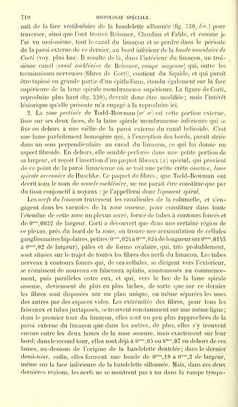 naît de la face vestibuläre de la bandelette sillonnée (flg. .30, l-v.) pour traverser, ainsi que l'ont trouvé Beissner, Claudius et Fahle, et comme je l'ai vu moi-même, tout le canal du limaçon et se perdre dans le périoste de la paroi externe de ce dernier, au bord inférieur de la bande vasculaire de Corti (voy. plus bas). Il résulte de là, dans l'intérieur du limaçon, un troi- sième canal [canal cochléaire de Reissner, rampe moyenne) qui, outre les terminaisons nerveuses (fibres de Corti), contient du liquide, et qui paraît être tapissé en grande partie d'un épitliélium, étendu également sur la face supérieure de la lame spirale membraneuse supérieure. La figure de Corti, reproduite plus haut (fig. 330), devrait donc être modifiée; mais l'intérêt historique qu'elle présente m'a engagé à la reproduire ici. 2. La zone pectinée de Todd-Bovvman [w' w) est cette portion externe, lisse sur ses deux faces, de la lame spirale membraneuse inférieure qui se fixe en dehors à une saillie de la paroi externe du canal hélicoïde. C'est une lame parfaitement homogène qui, à l'exception des bords, paraît striée dans un sens perpendiculaire au canal du limaçon, ce qui lui donne un aspect fibroïde. En dehors, elle semble perforée dans une petite portion de sa largeur, et reçoit l'insertion d'un paquet fibreux (x) spécial, qui provient de ce point de la paroi limacienne où se voit une petite crête osseuse, lame spirale accessoire de Huschke. Ce paquet de fibres, que Todd-Bovvman ont décrit sous le nom de muscle cochléaire, ne me paraît être constitué que par du tissu conjonctif à noyaux : je l'appellerai donc ligament spiral. Les nerfs du limaçon traversent les canalieules de la columelle, et s'en- gagent dans les vacuoles de la zone osseuse, pour constituer dans toute l'étendue de cette zone un plexus serré, formé de tubes à contours foncés et de 0mm,0032 de largeur. Corti a découvert que dans une certaine région de ce plexus, près du bord de la zone, on trouve une accumulation de cellules ganglionnaires bipolaires, petites (Ömm, 02 4 à 0,nm,03/i de longueur sur 0mm,014§ à 0n,02 de largeur), pâles et de forme ovalaire, qui, très probablement, sont situées sur le trajet de toutes les fibres des nerfs du limaçon. Les tubes nerveux à contours foncés qui, de ces cellules, se dirigent vers l'extérieur, se réunissent de nouveau en faisceaux aplatis, anastomosés au commence- ment, puis parallèles entre eux, et qui, vers le bec de la lame spirale osseuse, deviennent de plus en plus lâches, de sorte que sur ce dernier les fibres sont disposées sur un plan unique, ou même séparées les unes des autres par des espaces vides. Les extrémités des fibres, pour tous les faisceaux et tubes juxtaposés, se trouvent constamment sur une même ligne ; dans le premier tour du limaçon, elles sont un peu plus rapprochées de la paroi externe du limaçon que dans les autres, de plus, elles s'y trouvent encore entre les deux lames de la zone osseuse, mais exactement sur leur bord; clanslesecond tour, elles sont déjà à 0mm,05 ou 0m,T',07 en dehors de ces lames, au-dessous de l'origine de la bandelette dentelée; dans le dernier demi-tour, enfin, elles forment une bande de 0mm,18 à 0mm,2 de largeur, même sur la face inférieure de la bandelette sillonnée. Mais, dans ces deux dernières régions, les nerfs ne se montrent pas à nu dans la rampe tympa-