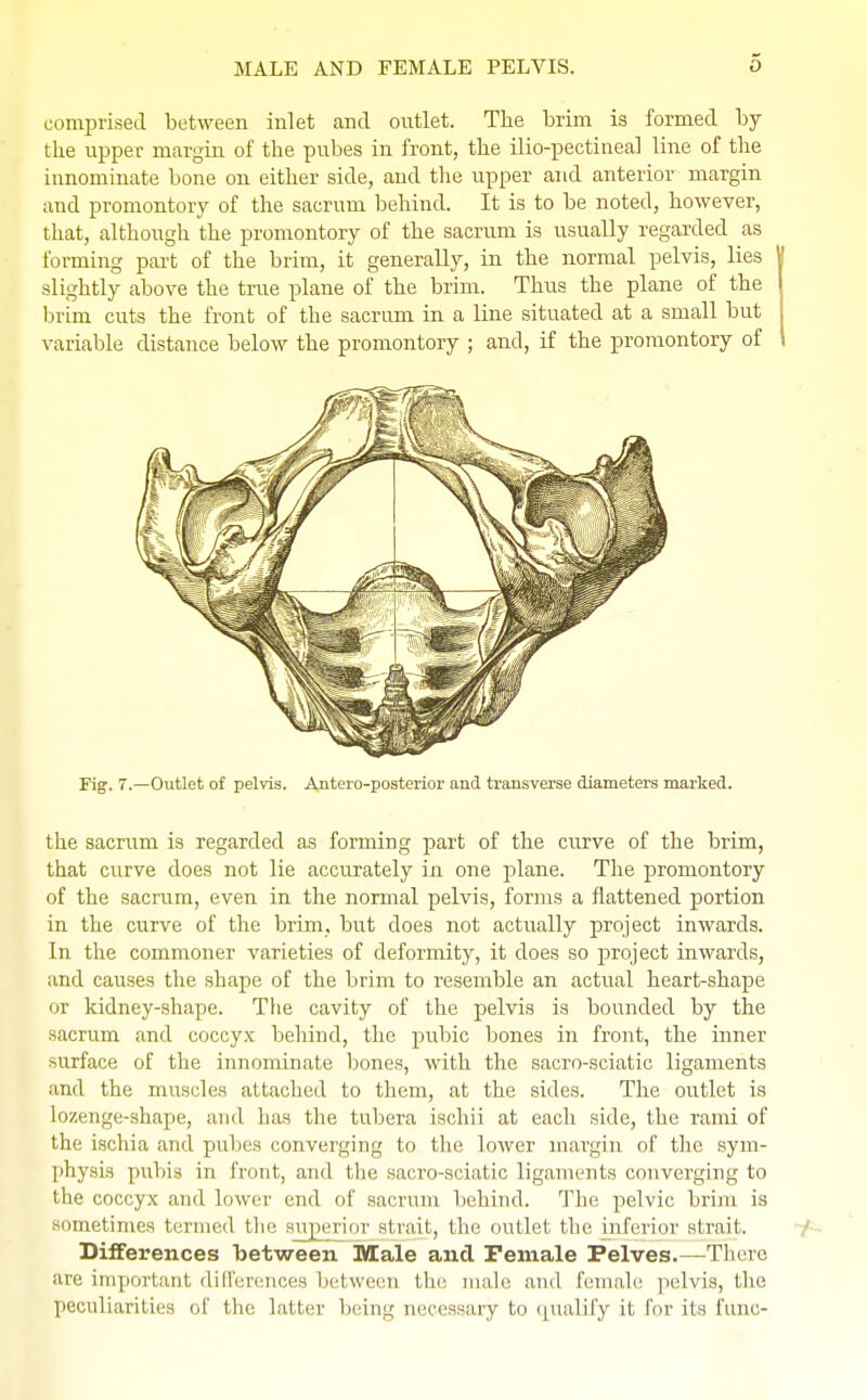 MALE AND FEMALE PELVIS. comprised between inlet and outlet. The brim is formed by the upper margin of the pubes in front, the ilio-pectineal bine of the innominate bone on either side, and the upper and anterior margin and promontory of the sacrum behind. It is to be noted, however, that, although the promontory of the sacrum is usually regarded as forming part of the brim, it generally, in the normal pelvis, lies slightly above the true plane of the brim. Thus the plane of the brim cuts the front of the sacrum in a line situated at a small but variable distance below the promontory ; and, if the promontory of Fig. 7.—Outlet of pelvis. Anteroposterior and transverse diameters marked. the sacrum is regarded as forming part of the curve of the brim, that curve does not lie accurately in one plane. The promontory of the sacrum, even in the normal pelvis, forms a flattened portion in the curve of the brim, but does not actually project inwards. In the commoner varieties of deformity, it does so project inwards, and causes the shape of the brim to resemble an actual heart-shape or kidney-shape. The cavity of the pelvis is bounded by the sacrum and coccyx behind, the pubic bones in front, the inner surface of the innominate bones, with the sacro-sciatic ligaments and the muscles attached to them, at the sides. The outlet is lozenge-shape, and has the tubera ischii at each side, the rami of the ischia and pubes converging to the lower margin of the sym- physis pubis in front, and the sacro-sciatic ligaments converging to the coccyx and lower end of sacrum behind. The pelvic brim is sometimes termed the superior strait, the outlet the inferior strait- Differences between Male and Female Pelves.—There are important differences between the male and female pelvis, the peculiarities of the latter being necessary to qualify it for its funo-