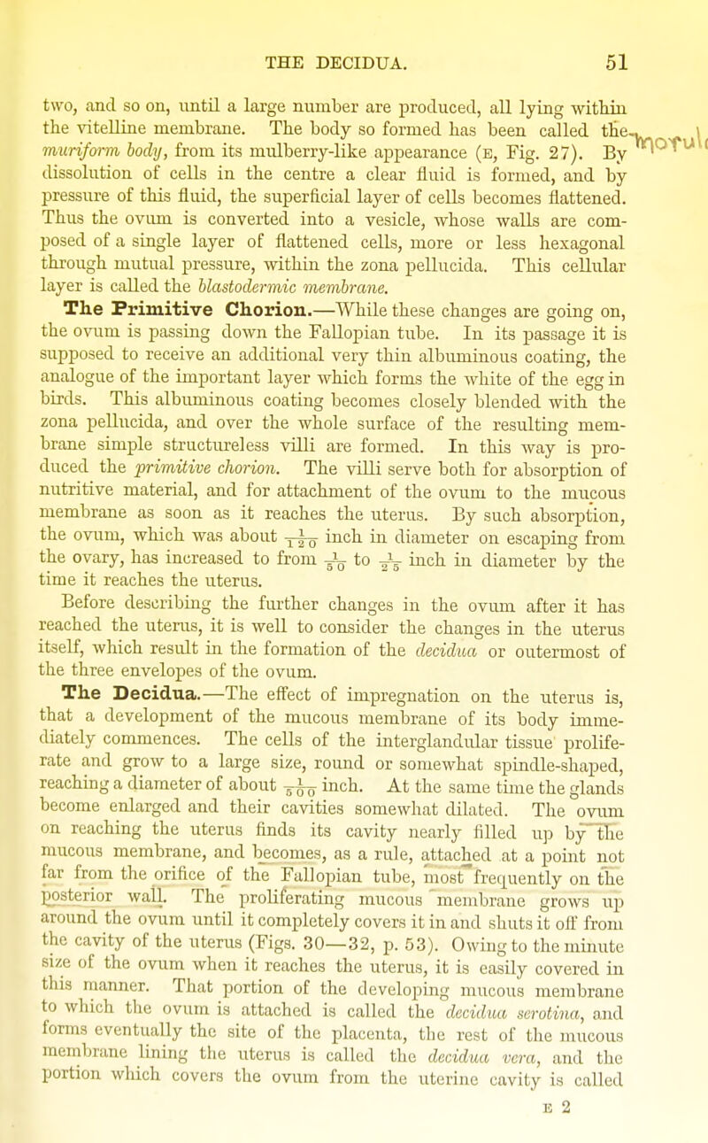 two, and so on, until a large number are produced, all lying within the vitelline membrane. The body so formed has been called the. muriform body, from its mulberry-like appearance (e, Fig. 27). By dissolution of cells in the centre a clear fluid is formed, and by pressure of this fluid, the superficial layer of cells becomes flattened. Thus the ovum is converted into a vesicle, whose walls are com- posed of a single layer of flattened cells, more or less hexagonal through mutual pressure, within the zona pellucida. This cellular layer is called the blastodermic membrane. The Primitive Chorion.—While these changes are going on, the ovum is passing down the Fallopian tube. In its passage it is supposed to receive an additional very thin albuminous coating, the analogue of the important layer which forms the white of the egg in birds. This albuminous coating becomes closely blended with the zona pellucida, and over the whole surface of the resulting mem- brane simple structureless villi are formed. In this way is pro- duced the primitive chorion. The villi serve both for absorption of nutritive material, and for attachment of the ovum to the mucous membrane as soon as it reaches the uterus. By such absorption, the ovum, which was about 1 * 0 inch in diameter on escaping from the ovary, has increased to from to ^_ inch in diameter by the time it reaches the uterus. Before describing the further changes in the ovum after it has reached the uterus, it is well to consider the changes in the uterus itself, which result in the formation of the decidua or outermost of the three envelopes of the ovum. The Decidua.—The effect of impregnation on the uterus is, that a development of the mucous membrane of its body imme- diately commences. The cells of the interglandular tissue prolife- rate and grow to a large size, round or somewhat spindle-shaped, reaching a diameter of about inch. At the same time the glands become enlarged and their cavities somewhat dilated. The ovum on reaching the uterus finds its cavity nearly filled up by^Ee mucous membrane, and becomes, as a rule, attached at a point not far from the orifice of the Fallopian tube, mosrfrecxuently on the Interior wall. The proliferating mucous  membrane grows up around the ovum until it completely covers it in and shuts it off from the cavity of the uterus (Figs. 30—32, p. 53). Owing to the minute size of the ovum when it reaches the uterus, it is easily covered in this manner. That portion of the developing mucous membrane to which the ovum is attached is called the decidua serotina, and forms eventually the site of the placenta, the rest of the mucous membrane lining the uterus is called the decidua vera, and the portion which covers the ovum from the uterine cavity is called e 2