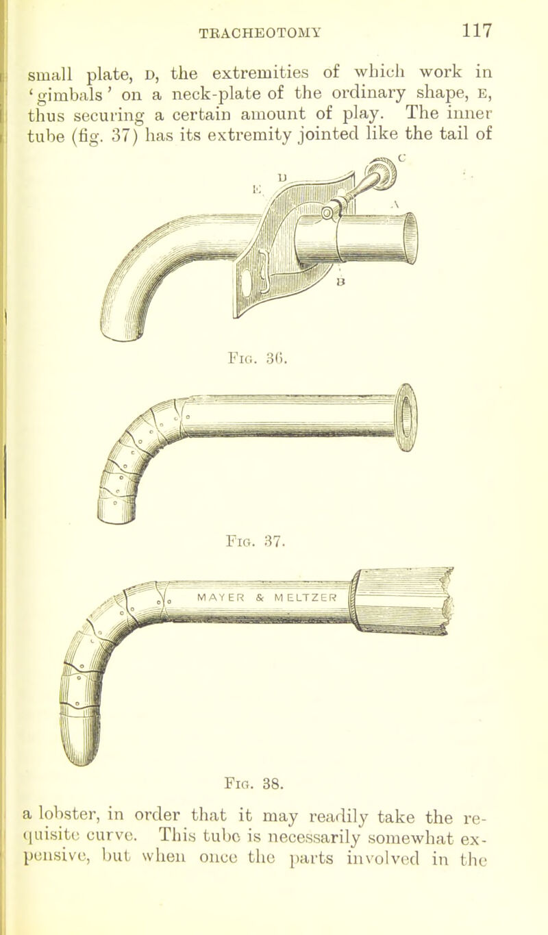 small plate, D, the extremities of which work in ' gimbals' on a neck-plate of the oixlinary shape, E, thus securing a certain amount of play. The inner tube (fig. 37) has its extremity jointed like the tail of Fio. 38. a lobster, in order that it may readily take the re- quisite curve. This tube is necessarily somewhat ex- pensive, but when once the parts involved in the