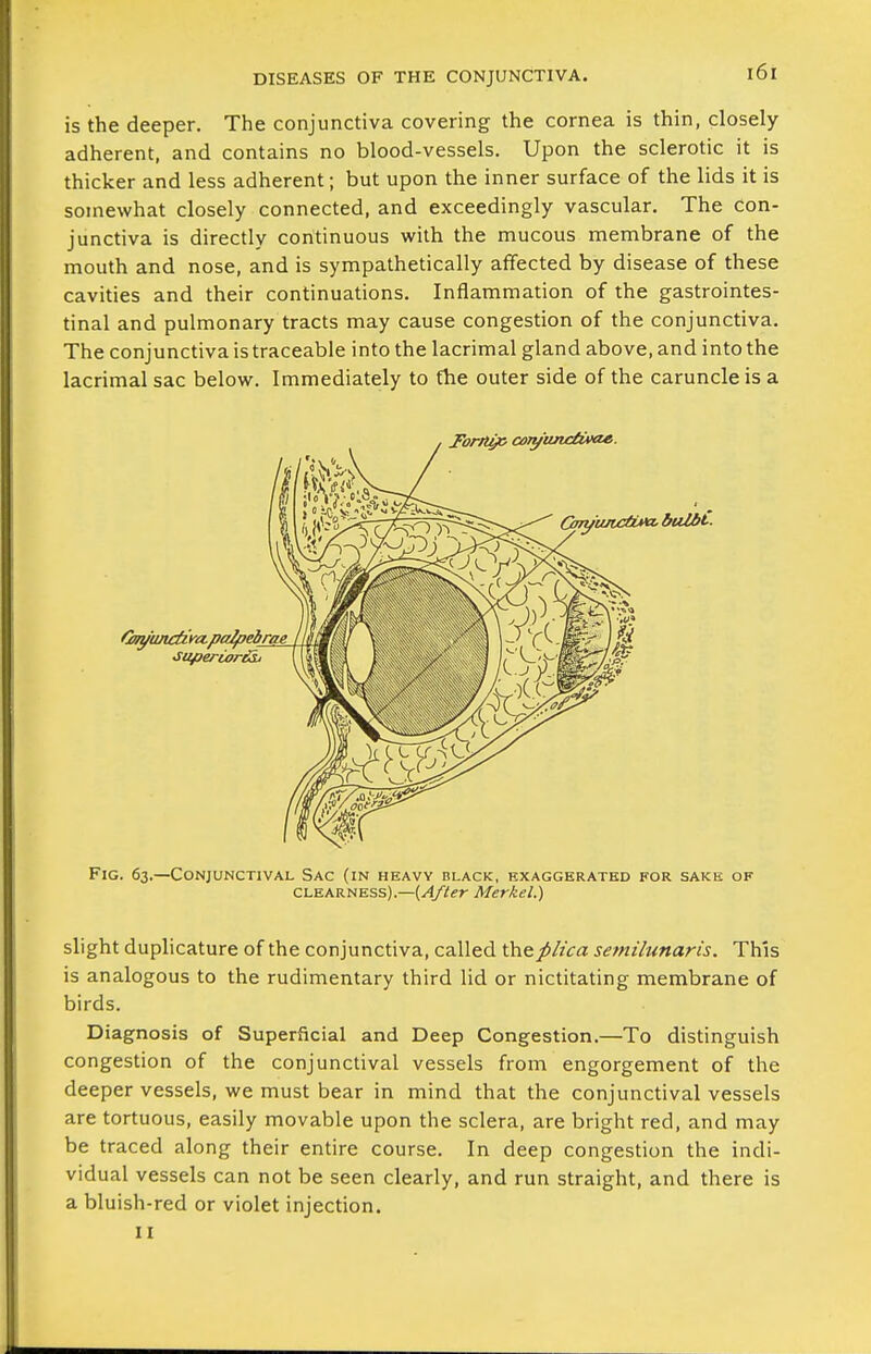 is the deeper. The conjunctiva covering the cornea is thin, closely adherent, and contains no blood-vessels. Upon the sclerotic it is thicker and less adherent; but upon the inner surface of the lids it is somewhat closely connected, and exceedingly vascular. The con- junctiva is directly continuous with the mucous membrane of the mouth and nose, and is sympathetically affected by disease of these cavities and their continuations. Inflammation of the gastrointes- tinal and pulmonary tracts may cause congestion of the conjunctiva. The conjunctiva is traceable into the lacrimal gland above, and into the lacrimal sac below. Immediately to the outer side of the caruncle is a Fig. 63.—Conjunctival Sac (in heavy black, exaggerated for sake of CLEARNESS).—Merkel.) slight duplicature of the conjunctiva, called ihep/t'ca semilunaris. This is analogous to the rudimentary third lid or nictitating membrane of birds. Diagnosis of Superficial and Deep Congestion.—To distinguish congestion of the conjunctival vessels from engorgement of the deeper vessels, we must bear in mind that the conjunctival vessels are tortuous, easily movable upon the sclera, are bright red, and may be traced along their entire course. In deep congestion the indi- vidual vessels can not be seen clearly, and run straight, and there is a bluish-red or violet injection. II