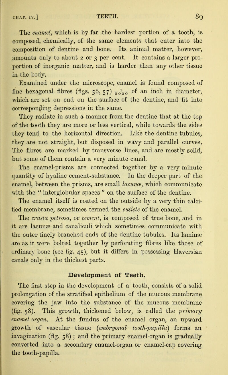 The enamel, which is by far the hardest portion of a tooth, is composed, chemically, of the same elements that enter imto the composition of dentine and bone. Its animal matter, however, amounts only to about 2 or 3 per cent. It contains a larger pro- portion of inorganic matter, and is harder than any other tissue in the body. Examined under the microscope, enamel is found composed of fine hexagonal fibres (figs. 56, 57) -5-0V0 mQh. in diameter, which are set on end on the surface of the dentine, and fit into correspongling depressions in the same. They radiate in such a manner from the dentine that at the top of the tooth they are more or less vertical, while towards the sides they tend to the horizontal direction. Like the dentine-tubules, they are not straight, but disposed in wavy and parallel curves. The fibres are marked by transverse lines, and are mostly solid, but some of them contain a very minute canaL The enamel-prisms are connected together by a very minute quantity of hyaline cement-substance. In the deeper part of the enamel, between the prisms, are small lacuncE, which communicate with the  interglobular spaces  on the surface of the dentine. The enamel itself is coated on the outside by a very thin calci- fied membrane, sometimes termed the cviicle of the enamel. The crusta peti^osa, or cement, is composed of true bone, and in it are lacunae and canaliculi which sometimes communicate with the outer finely branched ends of the dentine tubules. Its laminse are as it were bolted together by perforating fibres like those of ordinary bone (see fig. 45), but it differs in possessing Haversian canals only in the thickest parts. Development of Teeth. The first step in the development of a tooth, consists of a solid prolongation of the stratified epithelium of the mucous membrane covering the jaw into the substance of the mucous membrane (fig. 58). This growth, thickened below, is called the primary enamel organ. At the fundus of the enamel organ, an upward growth of vascular tissue {embryonal tooth-impilla) forms an invagination (fig. 58); and the primary enamel-organ is gradually converted into a secondary enamel-organ or enamel-cap covering the tooth-papilla.