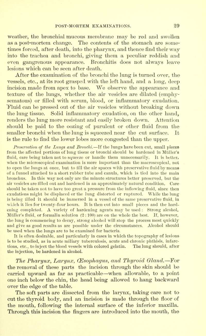 weather, the bronchial mucous membrane may be red and swollen as a post-mortem change. The contents of the stomach are some- times forced, after death, into the pharynx, and thence find their way into the trachea and bronchi, giving them a pecuhar reddish and even gangrenous appearance. Bronchitis does not always leave lesions which can be seen after death. After the examination of the bronchi the lung is turned over, the vessels, etc., at its root grasped with the left hand, and a long, deep incision made from apex to base. We observe the appearance and texture of the lungs, whether the air vesicles are dilated (emphy- sematous) or filled with serum, blood, or inflammatory exudation. Fluid can be pressed out of the air vesicles without breaking down the lung tissue. Solid inflammatory exudation, on the other hand, renders the lung more resistant and easily broken down. Attention should be paid to the oozing of purulent or other fluid from the smaller bronchi when the lung is squeezed near the cut surface. It is the rule to find the lower lobes more congested than the upper. Preservation of the Lungs and Bronchi.—If the lungs have been cut, small pieces from the affected portions of lung tissue or bronchi should be hardened in Miiller's fluid, care being taken not to squeeze or handle them unnecessarily. It is better, when the microscopical examination is more important than the macroscopical, not to open the lungs at once, but to fill the air spaces with preservative fluid by means of a funnel attached to a short rubber tube and canula, which is tied into the main bronchus. In this way not only are the minute structures better preserved, but the air vesicles are filled out and hardened in an approximately natural condition. Care should be taken not to have too great a pressure from the inflowing fluid, since then exudations might be displaced or the lung distorted or ruptured. While the lung- is being filled it should be immersed in a vessel of the same preservative fluid, in wi:ich it lies for twenty-four hours. It is then cut into small pieces and the hard- ening completed. A variety of hardening agents may be used : Strong alcohol, Miiller's fluid, or formalin solution (2 :100) are on the whole the best. If, however, the lung is commencing to decay, strong alcohol will stop the process most quickly and give as good results as are possible under the circumstances. Alcohol should be used when the lungs are to be examined for bacteria. It is often desirable, and particularlj^ in cases in which the topography of lesions is to be studied, as in acute miliary tuberculosis, acute and chronic phthisis, infarc- tions, etc., to inject the blood vessels with colored gelatin. The lung should, after the injection, be hardened in alcohol. The Pharynx, Larynx, (Esophagus, and Thyroid Gland.—For the removal of these parts the incision through the skin should be carried upward as far as practicable—when allowable, to a point one inch below the chin, the head being allowed to hang backward over the edge of the table. The soft parts are dissected from the larynx, taking care not to cut the thyroid body, and an incision is made through the floor of the mouth, following the internal surface of the inferior maxilla. Through this incision the fingers are introduced into the mouth, the