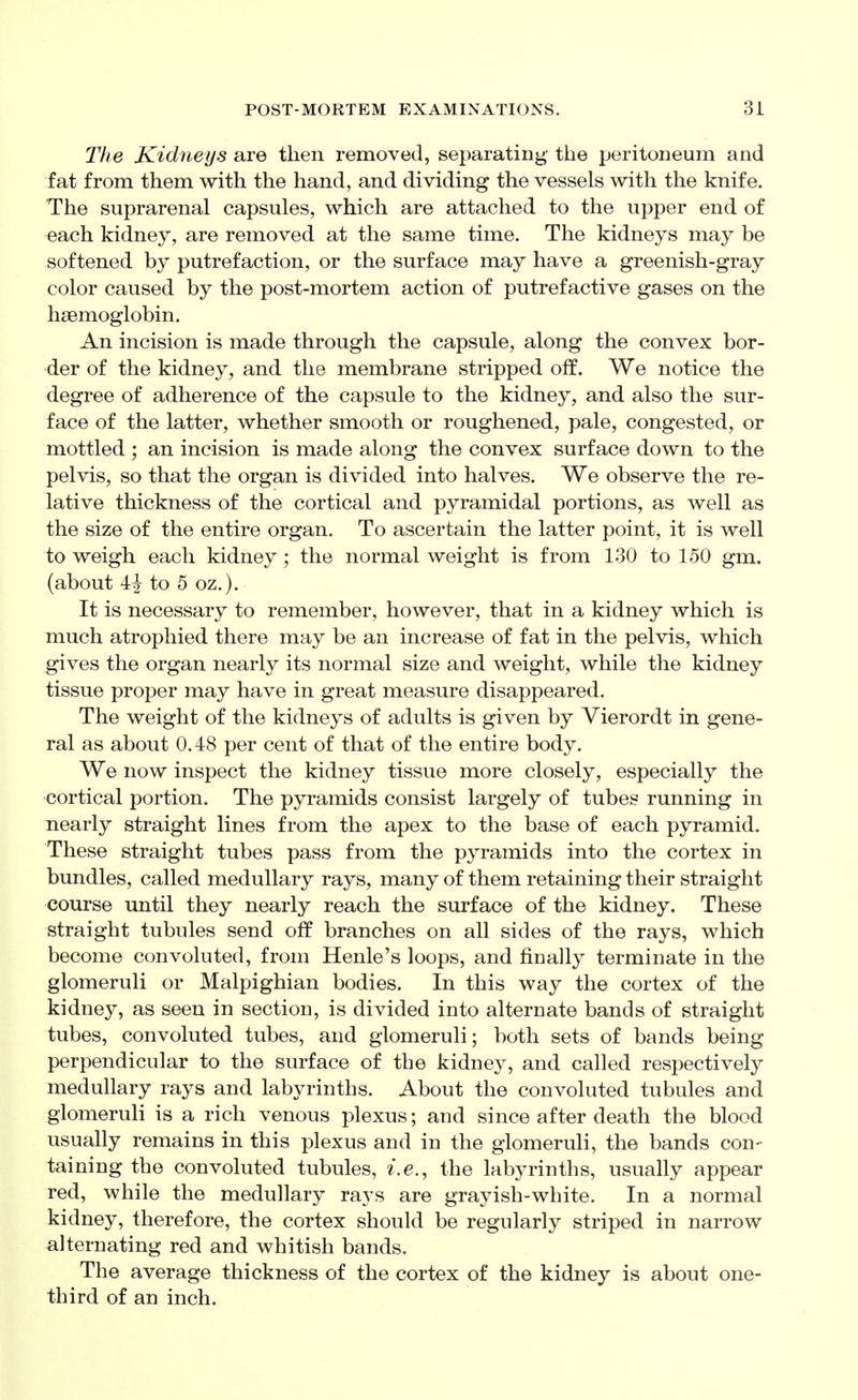 The Kidneys are then removed, separating the peritoneum and fat from them with the hand, and dividing the vessels with the knife. The suprarenal capsules, which are attached to the upper end of each kidney, are removed at the same time. The kidneys may be softened by putrefaction, or the surface may have a greenish-gray color caused by the post-mortem action of putrefactive gases on the haemoglobin. An incision is made through the capsule, along the convex bor- der of the kidney, and the membrane stripped off. We notice the degree of adherence of the capsule to the kidney, and also the sur- face of the latter, whether smooth or roughened, pale, congested, or mottled ; an incision is made along the convex surface down to the pelvis, so that the organ is divided into halves. We observe the re- lative thickness of the cortical and pyramidal portions, as well as the size of the entire organ. To ascertain the latter point, it is well to weigh each kidney ; the normal weight is from 130 to 150 gm. (about 4i to 5 oz.). It is necessary to remember, however, that in a kidney which is much atrophied there may be an increase of fat in the pelvis, which gives the organ nearly its normal size and weight, while the kidney tissue proper may have in great measure disappeared. The weight of the kidneys of adults is given by Vierordt in gene- ral as about 0.48 per cent of that of the entire body. We now inspect the kidney tissue more closely, especially the cortical portion. The pyramids consist largely of tubes running in nearly straight lines from the apex to the base of each pyramid. These straight tubes pass from the pyramids into the cortex in bundles, called medullary rays, many of them retaining their straight course until they nearly reach the surface of the kidney. These straight tubules send off branches on all sides of the rays, which become convoluted, from Henle's loops, and finall}^ terminate in the glomeruli or Malpighian bodies. In this way the cortex of the kidney, as seen in section, is divided into alternate bands of straight tubes, convoluted tubes, and glomeruli; both sets of bands being perpendicular to the surface of the kidney, and called respectively medullary rays and labyrinths. About the convoluted tubules and glomeruli is a rich venous plexus; and since after death the blood usually remains in this plexus and in the glomeruli, the bands con- taining the convoluted tubules, i.e., the labyrinths, usually appear red, while the medullary rays are grayish-white. In a normal kidney, therefore, the cortex should be regularly striped in narrow alternating red and whitish bands. The average thickness of the cortex of the kidney is about one- third of an inch.