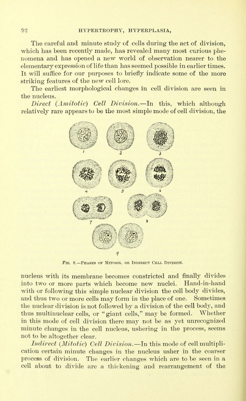 The careful and minute study of cells during the act of division, which has been recently made, has revealed many most curious phe- nomena and has opened a new world of observation nearer to the elementary expression of life than has seemed possible in earlier times. It will suffice for our purposes to briefly indicate some of the more striking features of the new cell lore. The earliest morphological changes in cell division are seen in the nucleus. Direct {Amitotic) Cell Division.—In this, which although relatively rare appears to be the most simple mode of cell division, the Fig. 8.—Phases of Mitosis, or Indirect Cell Division. nucleus with its membrane becomes constricted and finally divides into two or more parts which become new nuclei. Hand-in-hand with or following this simple nuclear division the cell body divides, and thus two or more cells may form in the place of one. Sometimes the nuclear division is not followed by a division of the cell body, and thus multinuclear cells, or giant cells, may be formed. Whether in this mode of cell division there may not be as yet unrecognized minute changes in the cell nucleus, ushering in the process, seems not to be altogether clear. Indirect {Mitotic) Cell Division.—In this mode of cell multipli- cation certain minute changes in the nucleus usher in the coarser process of division. The earlier changes which are to be seen in a cell about to divide are a thickening and rearrangement of the