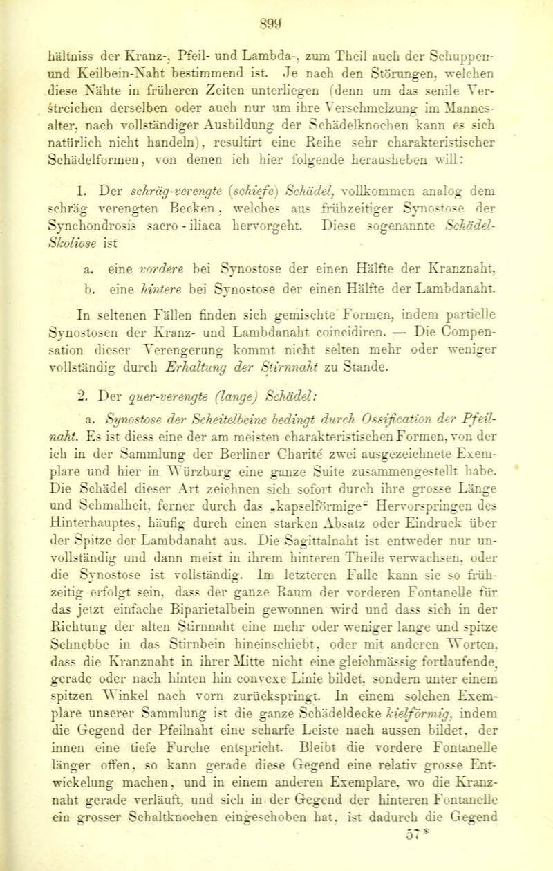 hältniss der Kranz-, Pfeil- und Lambda-, zum Theil auch der Schuppen- und Keilbein-Naht bestimmend ist. Je nach den Störungen, welchen diese Nähte in früheren Zeiten unterhegen (denn um das senile Ver- streichen derselben oder auch nur um ihre Verschmelzung im Mannes- alter, nach vollständiger Ausbildung der Schädelknochen kann es sich natürlich nicht handelnj. resultirt eine Reihe sehr charakteristischer Schädelformen, von denen ich hier folgende herausheben will: L Der schräg-verengte (schiefe) Schädel, vollkommen analog dem schräg verengten Becken. welches aus frühzeitiger Synostose der Synchondrosis sacro - iliaca hervorgeht Diese sogenannte Schädel- Skoliose ist a. eine vordere bei Synostose der einen Hälfte der Kranznaht, b. eine hintere bei Synostose der einen Hälfte der Lambdanaht. In seltenen Fällen finden sich gemischte Formen, indem partielle Synostosen der Kranz- und Lambdanaht coineidiren. — Die Compen- sation dieser Verengerune: kommt nicht selten mehr oder weniger vollständig durch Erhaltung der Stirnnaht zu Stande. 2. Der quer-verengte (lange) Schädel: a. Synostose der Scheitelbeine bedingt durch Ossißcation der Pfeil- naht. Es ist diess eine der am meisten charakteristischen Formen, von der ich in der Sammlung der Berliner Charite zwei ausgezeichnete Exem- plare und hier in Würzburg eine ganze Suite zusammengestellt habe. Die Schädel dieser Art zeichnen sich sofort durch ihre grosse Länge und Schmalheit, ferner durch das -kapselförmige Hervorspringen des Hinterhauptes, häufig durch einen starken Absatz oder Eindruck über der Spitze der Lambdanaht aus. Die Sagittalnaht ist entweder nur un- vollständig und dann meist in ihrem hinteren Theile verwachsen, oder die Synostose ist vollständig. In. letzteren Falle kann sie so früh- zeitig erfolgt sein, dass der ganze Raum der vorderen Fontanelle für das jetzt einfache Biparietalbein gewonnen wird und dass sich in der Richtung der alten Stirnnaht eine mehr oder weniger lange und spitze Schnebbe in das Stirnbein hineinschiebt, oder mit anderen Worten, dass die Kranznaht in ihrer Mitte nicht eine gleichmässig fortlaufende, gerade oder nach hinten hin convexe Linie bildet, sondern unter einem spitzen V\ inkel nach vorn zurückspringt. In einem solchen Exem- plare unserer Sammlung ist die ganze Schädeldecke Jcielförmig. indem die Gegend der Pfeilnaht eine scharfe Leiste nach aussen bildet, der innen eine tiefe Furche entspricht. Bleibt die vordere Fontanelle länger offen, so kann gerade diese Gegend eine relativ grosse Ent- wiekelung machen, und in einem anderen Exemplare, wo die Kranz- naht gerade verläuft, und sich in der Gegend der hinteren Fontanelle ein grosser Schaltknochen eingeschoben hat. ist dadurch die Gegend