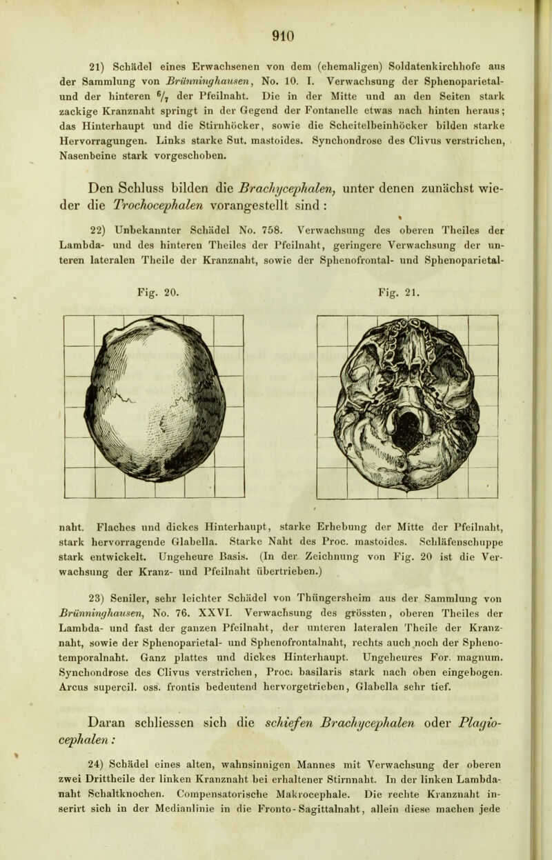 21) Schädel eines Erwachsenen von dem (ehemaligen) Soldatenkirchhofe aus der Sammlung von Brünninghausen, No. 10. I. Verwachsung der Sphenoparietal- und der hinteren B/7 der Pfeilnaht. Die in der Mitte und an den Seiten stark zackige Kranznaht springt in der Gegend der Fontanelle etwas nach hinten heraus; das Hinterhaupt und die Stirnhöcker, sowie die Scheitelbeinhöcker bilden starke Hervorragungen. Links starke Sut. mastoides. Synchondrose des Clivus verstrichen, Nasenbeine stark vorgeschoben. Den Schluss bilden die Brachycephalen, unter denen zunächst wie- der die Trochocepkalen vorangestellt sind : 22) Unbekannter Schädel No. 758. Verwachsung des oberen Theiles der Lambda- und des hinteren Theiles der Pfeilnaht, geringere Verwachsung der un- teren lateralen Theile der Kranznaht, sowie der Sphenofrontal- und Sphenoparietal- Fig. 20. Fig. 21. naht. Flaches und dickes Hinterhaupt, starke Erhebung der Mitte der Pfeilnaht, stark hervorragende Glabella. Starke Naht des Proc. mastoides. Scliläfenselmppe stark entwickelt. Ungeheure Basis. (In der Zeichnung von Fig. 20 ist die Ver- wachsung der Kranz- und Pfeilnaht übertrieben.) 23) Seniler, sehr leichter Schädel von Thiingersheim aus der Sammlung von Brünninghausen, No. 76. XXVI. Verwachsung des grössten, oberen Theiles der Lambda- und fast der ganzen Pfeilnaht, der unteren lateralen Theile der Kranz- naht, sowie der Sphenoparietal- und Sphenofrontalnaht, rechts auch noch der Spheno- temporalnaht. Ganz plattes und dickes Hinterhaupt. Ungeheures For. magnum. Synchondrose des Clivus verstrichen, Proc. basilaris stark nach oben eingebogen. Arcus supercil. oss. frontis bedeutend hervorgetrieben, Glabella sehr tief. Daran schliessen sich die schiefen Brachycephalen oder Plagio- cephalen: 24) Schädel eines alten, wahnsinnigen Mannes mit Verwachsung der oberen zwei Drittheile der linken Kranznaht bei erhaltener Stirnnaht. In der linken Lambda- naht Schaltknochen. Compensatorische Makrocephale. Die rechte Kranznaht in- serirt sich in der Medianlinie in die Fronto-Sagittalnaht, allein diese machen jede