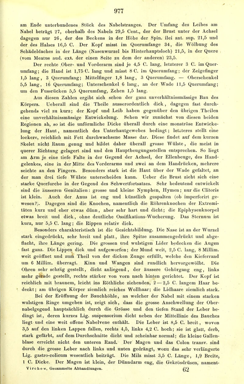 am Ende unterbundenes Stück des Nabelstranges. Der Umfang des Leibes am Nabel beträgt 27, oberhalb des Nabels 29,5 Cent., der der Brust unter der Achsel dagegen nur 26, der des Beckens in der Höhe der Spin, ilei ant. sup. 21,5 und der des Halses 16,5 C. Der Kopf misst im Querumfange 34, die Wölbung des Schädeldaches in der Länge (Nasenwurzel bis Hinterhauptsloch) 21,5, in der Quere (vom Meatus aud. ext. der einen Seite zu dem der anderen) 23,5. Der rechte Ober- und Vorderarm sind je 4,5 C. lang, letzterer 3 C. im Quer- umfang; die Hand ist 1,75 C. lang und misst 8 C. im Querumfang; der Zeigefinger 1,5 lang, 3 Querumfang; Mittelfinger 1,8 lang, 3 Querumfang. — Oberschenkel 5,5 lang, 16 Querumfang; Unterschenkel 6 lang, an der Wade 11,5 Querumfang; um den Fussrücken 5,5 Querumfang, Zehen 1,5 lang. Aus diesen Zahlen ergibt sich schon der ganz unverhältnissmässige Bau des Körpers. Ueberall sind die Theile ausserordentlich dick, dagegen fast durch- gehends viel zu kurz; der Kopf und Leib haben gegenüber den übrigen Theilen eine unverhältnissmässige Entwickelung. Sehen wir zunächst von diesen beiden Regionen ab, so ist die unförmliche Dicke überall durch eine monströse Entwicke- lung der Haut, namentlich des Unterhautgewebes bedingt; letzteres stellt eine lockere, reichlich mit Fett durchwachsene Masse dar. Diese findet auf dem kurzen Skelet nicht Raum genug und bildet daher überall grosse Wülste, die meist in querer Richtung gelagert sind und den Hauptbeugungsstellen entsprechen. So liegt am Arm je eine tiefe Falte in der Gegend der Achsel, der Ellenbeuge, des Hand- gelenkes, eine in der Mitte des Vorderarms und zwei an dem Handrücken, mehrere seichte an den Fingern. Besonders stark ist die Haut über der Wade gefaltet, an der man drei tiefe Wülste unterscheiden kann. Ueber die Brust zieht sich eine starke Querfurche in der Gegend des Schwertfortsatzes. Sehr bedeutend entwickelt sind die äusseren Genitalien: grosse und kleine Nymphen, Hymen; nur die Clitoris ist klein. Auch der Anus ist eng und künstlich gespalten (ob imperforirt ge- wesen?). Dagegen sind die Knochen, namentlich die Röhrenknochen der Extremi- täten kurz und eher etwas dünn, aber sehr hart und dicht; die Epiphysenknorpel etwas breit und dick, ohne deutliche Ossifikations-Wucherung. Das Sternutn ist kurz, nur 5,5 C. lang; die Rippen relativ dick. Besonders charakteristisch ist die Gesichtsbildung. Die Nase ist an der Wurzel stark eingedrückt, sehr breit und platt, ihre Spitze zusammengedrückt und abge- flacht, ihre Länge gering. Die grossen und wulstigen Lider bedecken die Augen fast ganz. Die Lippen dick und aufgeworfen; der Mund weit, 2,5 C. lang, 8 Millim. weit geöffnet und zum Theil von der dicken Zunge erfüllt, welche den Kieferrand um 6 Millim. überragt. Kinn und Wangen sind rundlich hervorgewölbt. Die Ohren sehr schräg gestellt, dicht anliegend, der äussere Gehörgang eng, links mehr gerade gestellt, rechts stärker von vorn nach hinten gerichtet. Der Kopf ist reichlich mit braunem, leicht ins Röthliche ziehenden, 2 — 2,5 C. langem Haar be- deckt; am übrigen Körper ziemlich reiches Wollhaar; die Lidhaare ziemlich stark. Bei der Eröffnung der Bauchhöhle, an welcher der Nabel mit einem starken wulstigen Ringe umgeben ist, zeigt sich, dass die grosse Anschwellung der Ober- nabelgegend hauptsächlich durch die Grösse und den tiefen Stand der Leber be- dingt ist, deren kurzes Lig. Suspensorium dicht neben der Mittellinie des Bauches liegt und eine weit offene Nabelvene enthält. Die Leber ist 8,5 C. breit, wovon 3,5 auf den linken Lappen fallen, rechts 4,5, links 4,2 C. hoch; sie ist glatt, derb, stark gefärbt, auf dem Durchschnitte dicht und scheinbar normal; die kleine Gallen- blase erreicht nicht den unteren Rand. Der Magen und das Colon transv. sind durch die grosse Leber nach links und unten gedrängt, wozu das sehr verlängerte Lig. gastro-colicum wesentlich beiträgt. Die Milz misst 3,5 C. Länge, 1,9 Breite, 1 C. Dicke. Der Magen ist klein, der Dünndarm eng, die Gekrösdrüsen, nament- Virchow, Gesammelte Abhandlungen. ßO