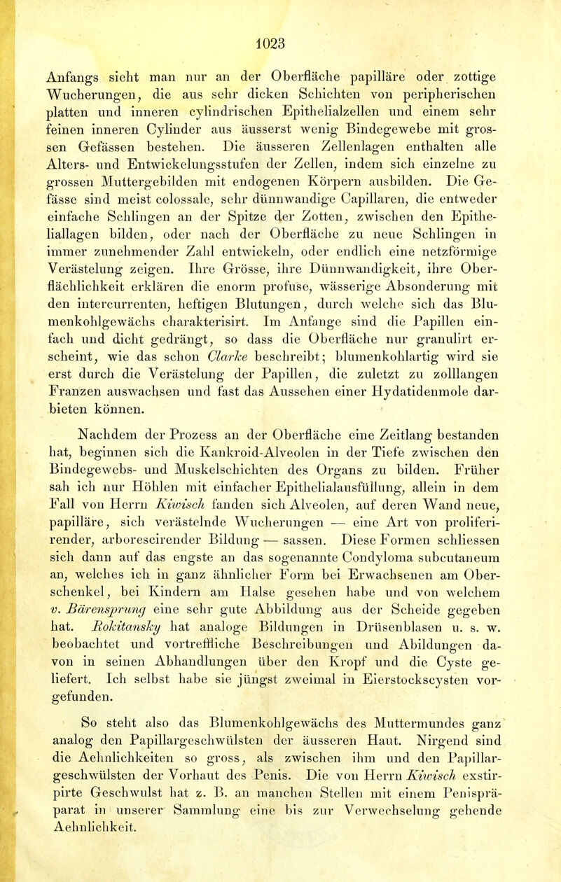 Anfangs sieht man nur an der Oberfläche papilläre oder zottige Wucherungen, die aus sehr dicken Schichten von peripherischen platten und inneren cylindrischen Epithelialzellen und einem sehr feinen inneren Cylinder aus äusserst wenig Bindegewebe mit gros- sen Gefässen bestehen. Die äusseren Zellenlagen enthalten alle Alters- und Entwickelungsstufen der Zellen, indem sich einzelne zu grossen Muttergebilden mit endogenen Körpern ausbilden. Die Ge- fässe sind meist colossale, sehr dünnwandige Capillaren, die entweder einfache Schlingen an der Spitze der Zotten, zwischen den Epithe- liallagen bilden, oder nach der Oberfläche zu neue Schlingen in immer zunehmender Zahl entwickeln, oder endlich eine netzförmige Verästelung zeigen. Ihre Grösse, ihre Dünnwandigkeit, ihre Ober- flächlichkeit erklären die enorm profuse, wässerige Absonderung mit den intercurrenten, heftigen Blutungen, durch welche sich das Blu- menkohlgewächs charakterisirt. Im Anfange sind die Papillen ein- fach und dicht gedrängt, so dass die Oberfläche nur granulirt er- scheint, wie das schon Qlarhe beschreibt; blumenkohlartig wird sie erst durch die Verästelung der Papillen, die zuletzt zu zolllangen Franzen auswachsen und fast das Aussehen einer Hydatidenmole dar- bieten können. Nachdem der Prozess an der Oberfläche eine Zeitlang bestanden hat, beginnen sich die Kankroid-Alveolen in der Tiefe zwischen den Bindegewebs- und Muskelschichten des Organs zu bilden. Früher sah ich nur Höhlen mit einfacher Epithelialausfüllung, allein in dem Fall von Herrn Kiwisch fanden sich Alveolen, auf deren Wand neue, papilläre, sich verästelnde Wucherungen — eine Art von proliferi- render, arborescirender Bildung ■— sassen. Diese Formen schliessen sich dann auf das engste an das sogenannte Condyloma subcutaneum an, welches ich in ganz ähnlicher Form bei Erwachsenen am Ober- schenkel , bei Kindern am Halse gesehen habe und von welchem v. Bärensprung eine sehr gute Abbildung aus der Scheide gegeben hat. Rokitansky hat analoge Bildungen in Drüsenblasen u. s. w. beobachtet und vortreffliche Beschreibungen und Abildungen da- von in seinen Abhandlungen über den Kropf und die Cyste ge- liefert. Ich selbst habe sie jüngst zweimal in Eierstockscysten vor- gefunden. So steht also das Blumenkohlgewächs des Muttermundes ganz analog den Papillargeschwülsten der äusseren Haut. Nirgend sind die Aehnlichkeiten so gross, als zwischen ihm und den Papillar- geschwülsten der Vorhaut des Penis. Die von Herrn Kiwisch exstir- pirte Geschwulst hat z. B. an manchen Stellen mit einem Penisprä- parat in unserer Sammlung eine bis zur Verwechselung gehende Aehnlichkeit.