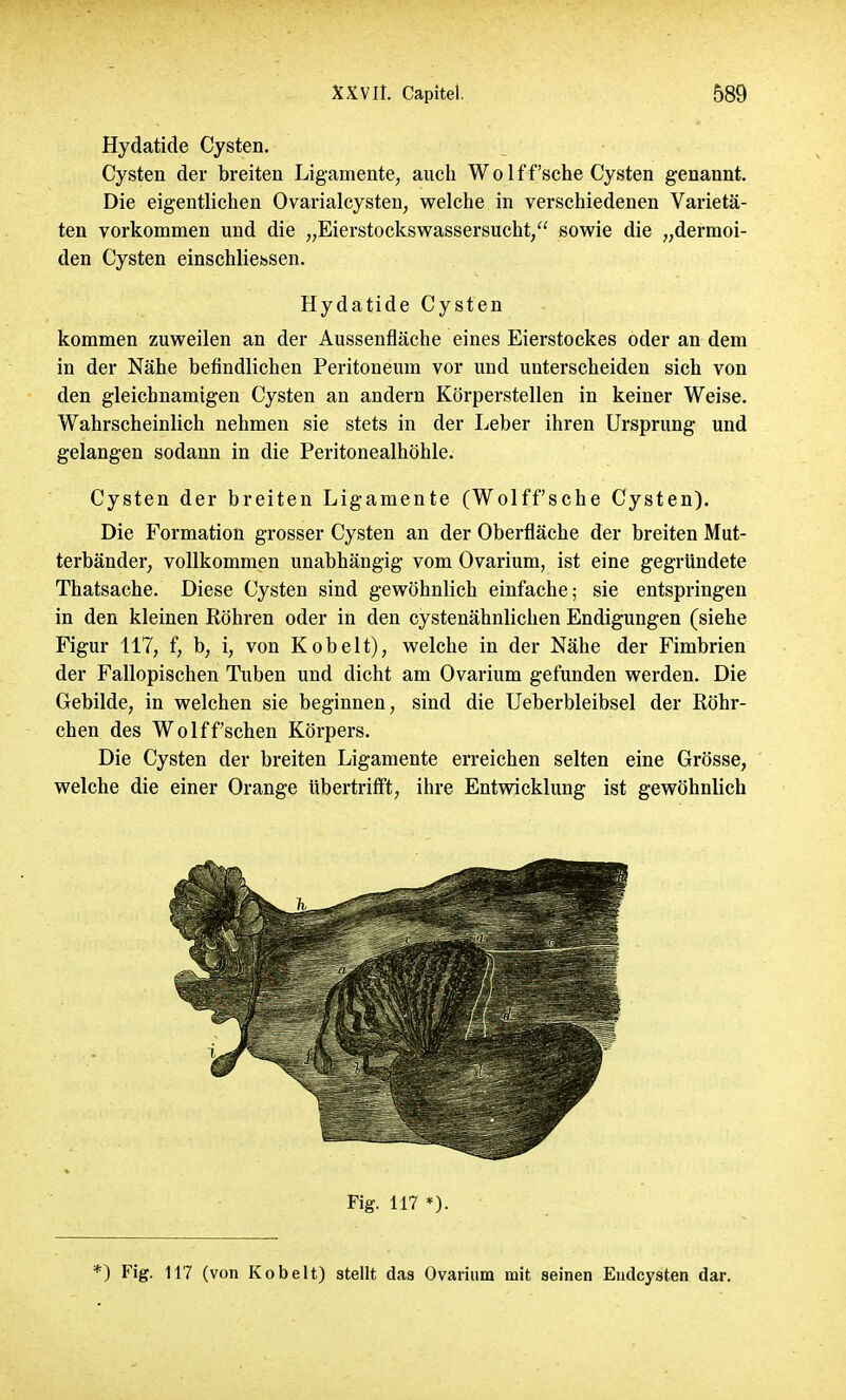 Hydatide Cysten. Cysten der breiten Ligamente, auch Wolf f'sehe Cysten genannt. Die eigentlichen Ovarialcysten, welche in verschiedenen Varietä- ten vorkommen und die „Eierstockswassersucht/' sowie die „dermoi- den Cysten einschliessen. Hydatide Cysten kommen zuweilen an der Aussenfläche eines Eierstockes oder an dem in der Nähe befindlichen Peritoneum vor und unterscheiden sich von den gleichnamigen Cysten an andern Körperstellen in keiner Weise. Wahrscheinlich nehmen sie stets in der Leber ihren Ursprung und gelangen sodann in die Peritonealhöhle. Cysten der breiten Ligamente (Wolffsche Cysten). Die Formation grosser Cysten an der Oberfläche der breiten Mut- terbänder, vollkommen unabhängig vom Ovarium, ist eine gegründete Thatsache. Diese Cysten sind gewöhnlich einfache; sie entspringen in den kleinen Köhren oder in den cystenähnlichen Endigungen (siehe Figur 117, f, b, i, von Kobelt), welche in der Nähe der Fimbrien der Fallopischen Tuben und dicht am Ovarium gefunden werden. Die Gebilde, in welchen sie beginnen, sind die Ueberbleibsel der Röhr- chen des Wolff sehen Körpers. Die Cysten der breiten Ligamente erreichen selten eine Grösse, welche die einer Orange übertrifft, ihre Entwicklung ist gewöhnlich Fig. 117 *). *) Fig. 117 (von Kobelt) stellt das Ovarium mit seinen Eudcysten dar.