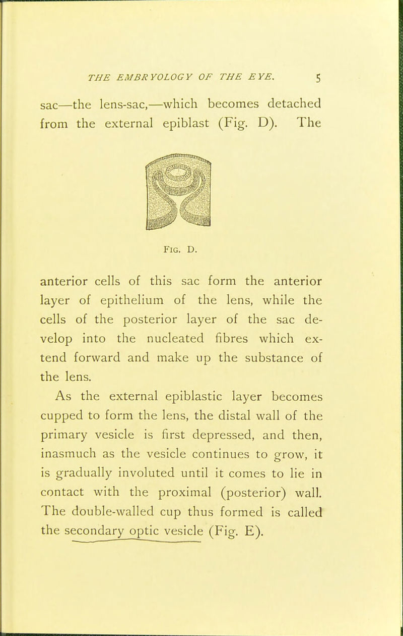 sac—the lens-sac,—which becomes detached from the external epiblast (Fig. D). The anterior cells of this sac form the anterior layer of epithelium of the lens, while the cells of the posterior layer of the sac de- velop into the nucleated fibres which ex- tend forward and make up the substance of the lens. As the external epiblastic layer becomes cupped to form the lens, the distal wall of the primary vesicle is first depressed, and then, inasmuch as the vesicle continues to grow, it is gradually involuted until it comes to lie in contact with the proximal (posterior) wall. The double-walled cup thus formed is called the secondary optic vesicle (Fig. E).