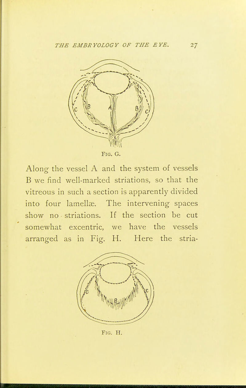 Fig. G. Along the vessel A and the system of vessels B we find well-marked striations, so that the vitreous in such a section is apparently divided into four lamellae. The intervening spaces show no striations. If the section be cut somewhat excentric, we have the vessels arranged as in Fig. H. Here the stria- FiG. H.