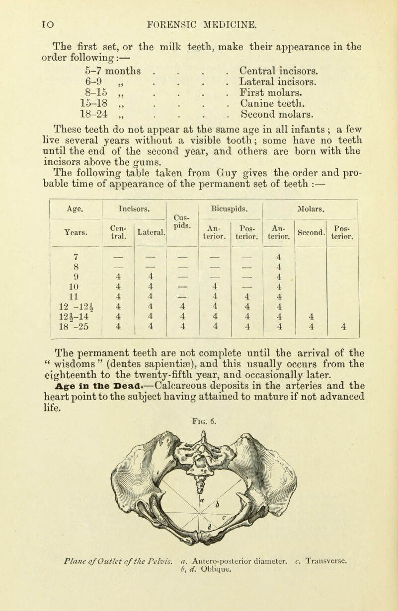 The first set, or the milk teeth, make their appearance in the order following:— 5- 7 months .... Central incisors. 6- 9 „ .... Lateral incisors. 8-15 ,, . . . . First molars. 15-18 ,, . . . . Canine teeth. 18-24 „ .... Second molars. These teeth do not appear at the same age in all infants ; a few live several years without a visible tooth; some have no teeth until the end of the second year, and others are born with the incisors above the gums. The following table taken from Guy gives the order and pro- bable time of appearance of the permanent set of teeth :— Age. Incisors. Bicuspids. Molars. Cus- pids. Years. Cen- tral. Lateral. An- terior. Pos- terior. An- terior. Second. Pos- terior. 7 8 4 4 9 4 4 4 10 4 4 4 4 11 4 4 4 4 4 12 -124 4 4 4 4 4 4 12J-14 4 4 4 4 4 4 4 18 -25 4 4 4 4 4 4 4 4 The permanent teeth are not complete until the arrival of the wisdoms (dentes sapientiee), and this usually occurs from the eighteenth to the twenty-fifth year, and occasionally later. Age in the Bead.—Calcareous deposits in the arteries and the heart point to the subject having attained to mature if not advanced life. Fig. 6. Plane 0/ Outlet of the Pelvis, a. Anteroposterior diameter, c. Transverse. l>, d. Oblique.