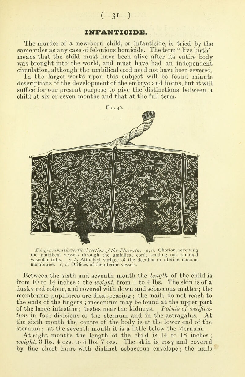INFANTICIDE. The murder of a new-born child, or infanticide, is tried by the same rules as any case of felonious homicide. The term  live birth' means that the child must have been alive after its entire body was brought into the world, and must have had an independent circulation, although the umbilical cord need not have been severed. In the larger works upon this subject will be found minute descriptions of the development of the embryo and foetus, but it will suffice for our present purpose to give the distinctions between a child at six or seven months and that at the full term. Fig. 46. Diagrammatic vertical section of the Placenta, a, a. Chorion, receiving the umbilical vessels through the umbilical cord, sending out ramified vascular tufts. b. Attached surface of the decidua or uterine mucous membrane, c, c. Orifices of the uterine vessels. Between the sixth and seventh month the length of the child is from 10 to 14 inches ; the weight, from 1 to 4 lbs. The skin is of a dusky red colour, and covered with down and sebaceous matter; the membranee pupillares are disappearing ; the nails do not reach to the ends of the fingers ; meconium may be found at the upper part of the large intestine ; testes near the kidneys. Points of ossifica- tion in four divisions of the sternum and in the astragalus. At the sixth month the centre of the body is at the lower end of the sternum ; at the seventh month it is a little below the sternum. At eight months the length of the child is 14 to 18 inches ; weight, 3 lbs. 4 ozs. to 5 lbs. 7 ozs. The skin is rosy and covered by fine short hairs with distinct sebaceous envelope; the nails