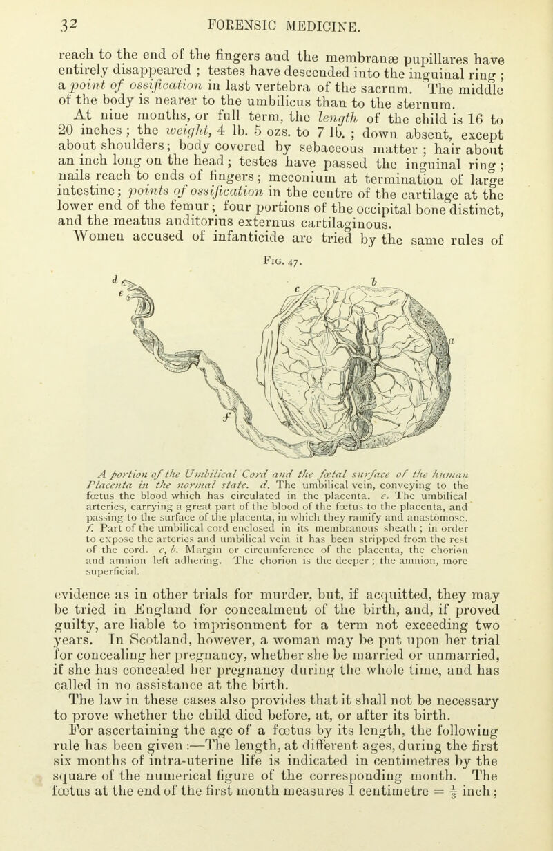 reach to the end of the fingers and the membranse pupillares have entirely disappeared ; testes have descended into the inguinal ring ; a point of ossification in last vertebra of the sacrum. °The middle of the body is nearer to the umbilicus than to the sternum. At nine months, or full term, the length of the child is 16 to 20 inches ; the weight, 4 lb. 5 ozs. to 7 lb. ; down absent, except about shoulders; body covered by sebaceous matter; hair about an inch long on the head; testes have passed the inguinal ring ; nails reach to ends of fingers; meconium at termination of large intestine; points of ossification in the centre of the cartilage at the lower end of the femur; four portions of the occipital bone°distinct, and the meatus auditorius externus cartilaginous. Women accused of infanticide are tried by the same rules of Fig.47. A portion of the U inbilical Cord and the fatal surface of the human Placenta in the normal state, d. The umbilical vein, conveying to the foetus the blood which has circulated in the placenta, e. The umbilical arteries, carrying a great part of the blood of the foetus to the placenta, and passing to the surface of the placenta, in which they ramify and anastomose. f. Part of the umbilical cord enclosed in its membranous sheath ; in order to expose the arteries and umbilical vein it has been stripped from the rest of the cord, c, />. Margin or circumference of the placenta, the chorion and amnion left adhering. The chorion is the deeper ; the amnion, more superficial. evidence as in other trials for murder, but, if acquitted, they may be tried in England for concealmeut of the birth, and, if proved guilty, are liable to imprisonment for a term not exceeding two years. In Scotland, however, a woman may be put upon her trial for concealing her pregnancy, whether she be married or unmarried, if she has concealed her pregnancy during the whole time, and has called in no assistance at the birth. The law in these cases also provides that it shall not be necessary to prove whether the child died before, at, or after its birth. For ascertaining the age of a foetus by its length, the following rule has been given :—The length, at different ages, during the first six months of intra-uteriue life is indicated in centimetres by the square of the numerical figure of the corresponding month. The foetus at the end of the first month measures 1 centimetre = | inch;