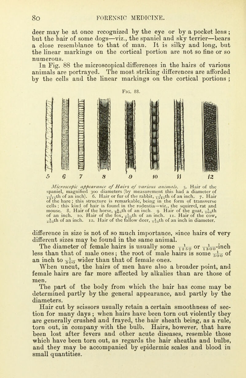 deer may be at once recognized by the eye or by a pocket lens ; but the hair of some dogs—viz., the spaniel and sky terrier—bears a close resemblance to that of man. It is silky and long, but the linear markings on the cortical portion are not so fine or so numerous. In Fig. 88 the microscopical differences in the hairs of various animals are portrayed. The most striking differences are afforded by the cells and the linear markings on the cortical portions ; Fig. 88. Microscopic appearance of Hairs of various animals. 5. Hair of the spaniel, magnified 300 diameters (by measurement this had a diameter of TT\^th of an inch). 6. Hair or fur of the rabbit, yxV^th of an inch. 7. Hair of the hare ; this structure is remarkable, being in the form of transverse cells ; this kind of hair is found in the rodentia—viz., the squirrel, rat and mouse. 8. Hair of the horse, ^\r^ of an inch. 9. Hair of the goat, 555th of an inch. 10. Hair of the fox, ooo1^ of an inch. 11. Hair of the cow, jyJoth of an inch. 12. Hair of the fallow deer, o^th of an inch in diameter. difference in size is not of so much importance, since hairs of very different sizes may be found in the same animal. The diameter of female hairs is usually some T^Vo or T¥oo'incn less than that of male ones; the root of male hairs is some of an inch to wider than that of female ones. When uncut, the hairs of men have also a broader point, and female hairs are far more affected by alkalies than are those of men. The part of the body from which the hair has come may be determined partly by the general appearance, and partly by the diameters. Hair cut by scissors usually retain a certain smoothness of sec- tion for many days ; when hairs have been torn out violently they are generally crushed and frayed, the hair sheath being, as a rule, torn out, in company with the bulb. Hairs, however, that have been lost after fevers and other acute diseases, resemble those which have been torn out, as regards the hair sheaths and bulbs, and they may be accompanied by epidermic scales and blood in small quantities.