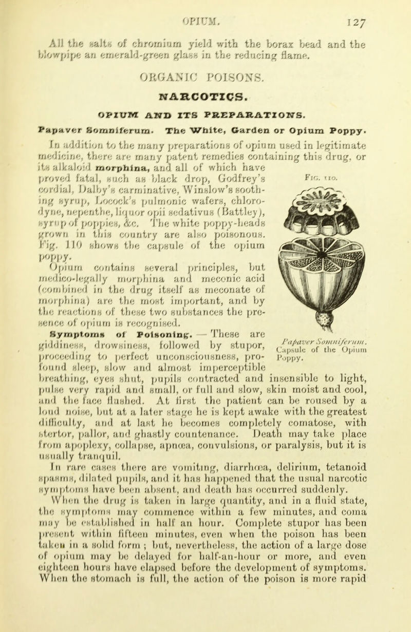 AJJ the -,aJi.. of chromium yield with the borax bead and the blowpipe an emerald-green glass in the reducing fiarne. ORGANIC POISONS. NARCOTICS. OPIUIVI AND ITS PREPARATION'S. PaLpavcr VonwifferUItti The White, Garden or Opium Poppy. Jn addition to the many preparations of opium used in legitimate medicine, there are many patent remedies containing this drug, or Fit I'apaver Somni/crutn. Capsule of tlie Opium Poppy. iti alkaloid morphina, and all of which have proved fatal, Much an black drop, Godfrey's cordial. Dfllbj'f carruinative. Winslow's sooth- ing syrup, Locock's pulmonic wafers, chloro- dyne, nepenthe, liquor opii sedativus (Battley), syrnpof poppies* &c« The white poppy'head 8 grown in this country are also poisonous. Fig. J 10 shows the capsule of the opium poppy. Opium contains several principles, but medicodegally morphina and meconic acid (combined in the drug itself as meconate of morphina) are the most important, and by the reactions of these two substances the pro- sence of opium is recognised. Symptoms oi PotHonin^. These are giddiness, drowsiness, followed by stupor, proceeding to perfect unconsciousness, pro- found sleep, ..low and almost imperceptible breathing, eyes shut, pupils contracted! and insensible to light, pulse very rapid and small, or full and slow, skin moist and cool, and the lace (lushed. At first the patient can be roused by a loud noise, hut at a later stage he is kept awake with the greatest difficulty, and at last he becomes completely comatose, with nfertor, pallor, and ghastly countenance. Death may take place from apoplexy, Collapse, apncea, convulsions, or paralysis, but it is usually tranquil. in pare oases there are vomiting, diarrhoea, delirium, tetanoid spasms, dilated pupils, and it has happened that the usual narcotic symptoms have been absent, and death has occurred suddenly. \Vh« n the drug 1: taken in large Quantity, and in a fluid Btate, 1li<: SVmptoms may Commence within a, lew minutes, and coma may Ik- established in half an hour. Complete stupor has been |.m 11,1, within fifteen minutes, even when tin; poison has been t il 1 11 111 ;i solid form ; hut, nevertheless, the action of a Large dose <>l Opium may be delayed for ha,lf-an-hour or more, and even eighteen hours have elapsed before the development of symptoms. When tin- Stomach is full, the action of the poison is more rapid