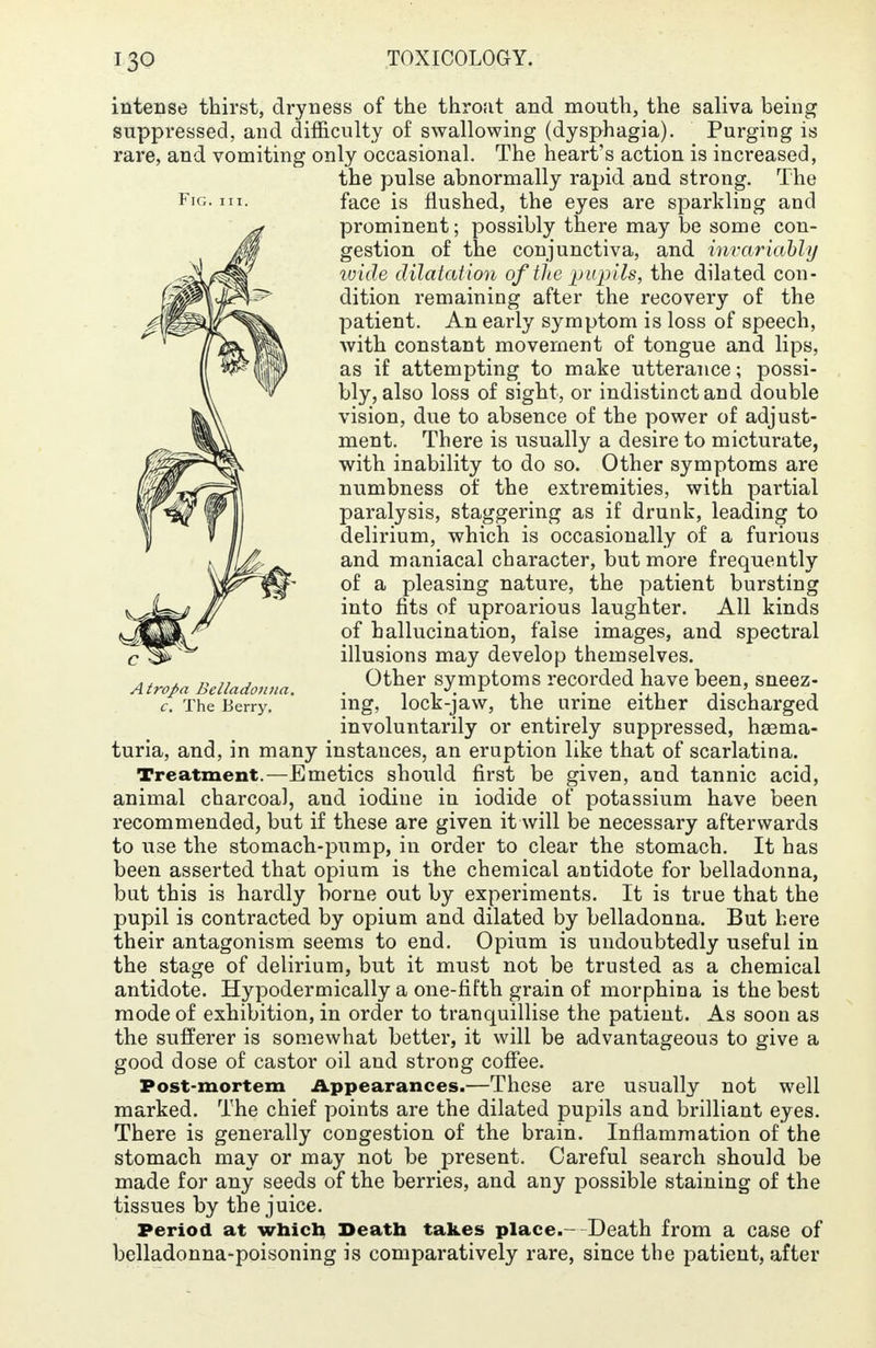 Fig. ii intense thirst, dryness of the throat and mouth, the saliva being suppressed, and difficulty of swallowing (dysphagia). Purging is rare, and vomiting only occasional. The heart's action is increased, the pulse abnormally rapid and strong. The face is flushed, the eyes are sparkling and prominent; possibly there may be some con- gestion of the conjunctiva, and invariably wide dilatation of the pupils, the dilated con- dition remaining after the recovery of the patient. An early symptom is loss of speech, with constant movement of tongue and lips, as if attempting to make utterance; possi- bly, also loss of sight, or indistinct and double vision, due to absence of the power of adjust- ment. There is usually a desire to micturate, with inability to do so. Other symptoms are numbness of the extremities, with partial paralysis, staggering as if drunk, leading to delirium, which is occasionally of a furious and maniacal character, but more frequently of a pleasing nature, the patient bursting into fits of uproarious laughter. All kinds of hallucination, false images, and spectral illusions may develop themselves. Other symptoms recorded have been, sneez- ing, lock-jaw, the urine either discharged involuntarily or entirely suppressed, hsema- turia, and, in many instances, an eruption like that of scarlatina. Treatment.—Emetics should first be given, and tannic acid, animal charcoal, and iodine in iodide of potassium have been recommended, but if these are given it will be necessary afterwards to use the stomach-pump, in order to clear the stomach. It has been asserted that opium is the chemical antidote for belladonna, but this is hardly borne out by experiments. It is true that the pupil is contracted by opium and dilated by belladonna. But here their antagonism seems to end. Opium is undoubtedly useful in the stage of delirium, but it must not be trusted as a chemical antidote. Hypodermically a one-fifth grain of morphina is the best mode of exhibition, in order to tranquillise the patient. As soon as the sufferer is somewhat better, it will be advantageous to give a good dose of castor oil and strong coffee. Post-mortem Appearances.—These are usually not well marked. The chief points are the dilated pupils and brilliant ey es. There is generally congestion of the brain. Inflammation of the stomach may or may not be present. Careful search should be made for any seeds of the berries, and any possible staining of the tissues by the juice. Period at which Death takes place.--Death from a case of belladonna-poisoning is comparatively rare, since the patient, after Atrojxi Belladonna, c. The Berry.