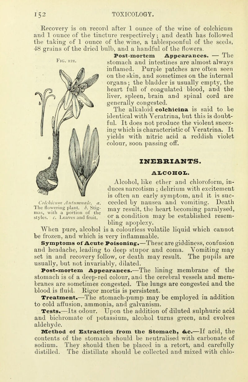 Fig. Recovery is on record after 1 ounce of the wine of colchicum and 1 ounce of the tincture respectively; and death has followed the taking of 1 ounce of the wine, a tablespoonful of the seeds, 48 grains of the dried bulb, and a handful of the flowers. Post-mortem Appearances. — The stomach and intestines are almost always inflamed. Purple patches are often seen on the skin, and sometimes on the internal organs; the bladder is usually empty, the heart full of coagulated blood, and the liver, spleen, brain and spinal cord are generally congested. The alkaloid colchicina is said to be identical with Yeratrina, but this is doubt- ful. It does not produce the violent sneez- ing which is characteristic of Yeratrina. It yields with nitric acid a reddish violet colour, soon passing off. INEBRIANTS. ALCOHOL. Alcohol, like ether and chloroform, in- duces narcotism ; delirium with excitement is often an early symptom, and it is suc- ceeded by nausea and vomiting. Death may result, the heart becoming paralysed, or a condition may be established resem- bling apoplexy. When pure, alcohol is a colourless volatile liquid which cannot be frozen, and which is very inflammable. Symptoms of Acute Poisoning:.—These are giddiness, confusion and headache, leading to deep stupor and coma. Yomiting may set in and recovery follow, or death may result. The pupils are usually, but not invariably, dilated. Post-mortem Appearances.—The lining membrane of the stomach is of a deep-red colour, and the cerebral vessels and mem- branes are sometimes congested. The lungs are congested and the blood is fluid. Rigor mortis is persistent. Treatment.—The stomach-pump may be employed in addition to cold affusion, ammonia, and galvanism. Tests.—Its odour. Upon the addition of diluted sulphuric acid and bichromate of potassium, alcohol turns green, and evolves aldehyde. Colchicum Autumnale. a. The flowering plant. Stig- mas, with a portion of the styles, c. Leaves and fruit. contents of the stomach should be neutralised with carbonate of sodium. They should then be placed in a retort, and carefully distilled. The distillate should be collected and mixed with chlo-