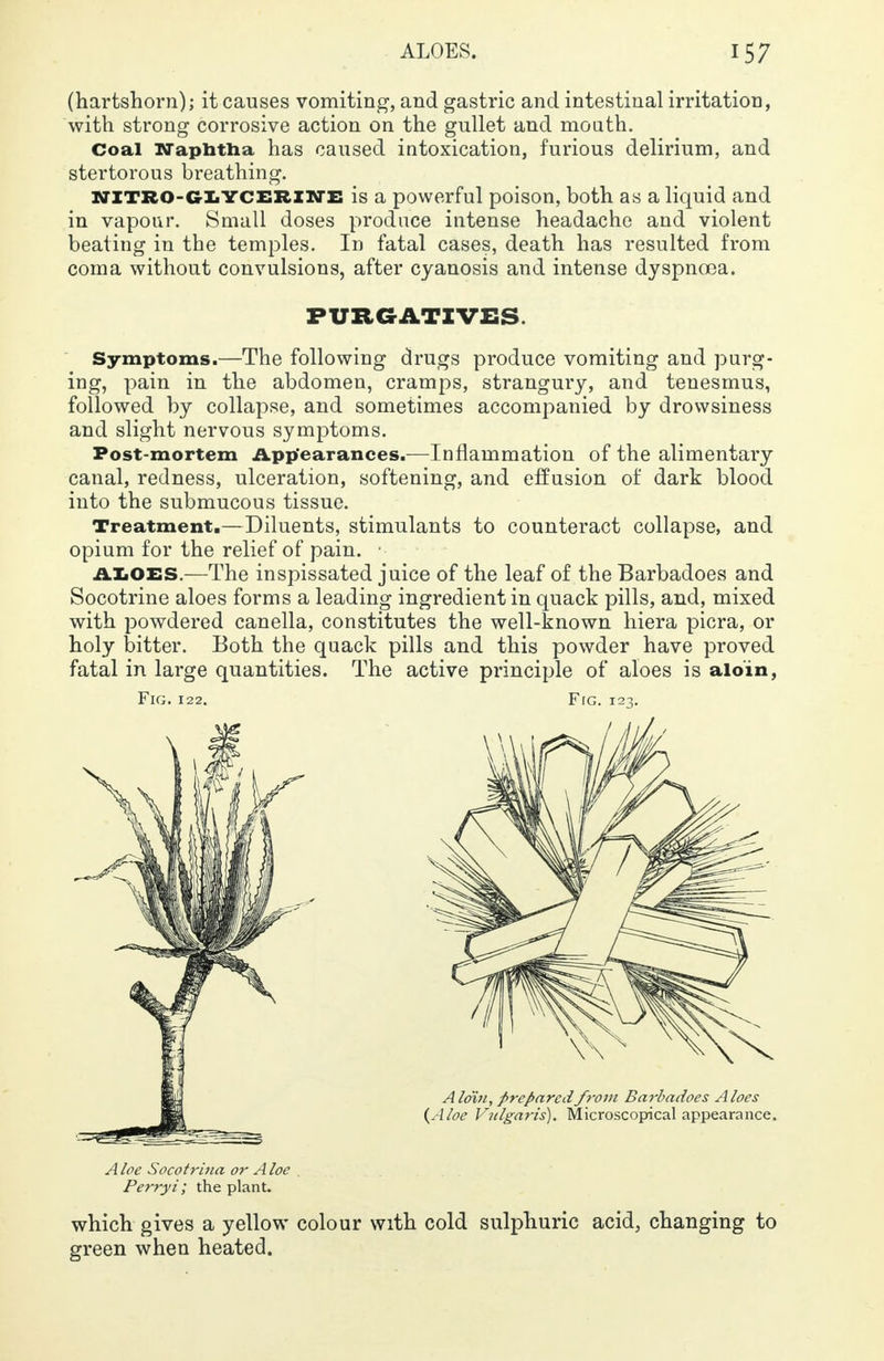 (hartshorn); it causes vomiting, and gastric and intestinal irritation, with strong corrosive action on the gullet and mouth. Coal Naphtha has caused intoxication, furious delirium, and stertorous breathing. NITRO-glycerine is a powerful poison, both as a liquid and in vapour. Small doses produce intense headache and violent beating in the temples. In fatal cases, death has resulted from coma without convulsions, after cyanosis and intense dyspnoea. PURGATIVES Symptoms.—The following drugs produce vomiting and purg- ing, pain in the abdomen, cramps, strangury, and tenesmus, followed by collapse, and sometimes accompanied by drowsiness and slight nervous symptoms. Post-mortem Appearances.—Inflammation of the alimentary canal, redness, ulceration, softening, and effusion of dark blood into the submucous tissue. Treatment.—Diluents, stimulants to counteract collapse, and opium for the relief of pain. • aloes,—The inspissated juice of the leaf of the Barbadoes and Socotrine aloes forms a leading ingredient in quack pills, and, mixed with powdered canella, constitutes the well-known hiera picra, or holy bitter. Both the quack pills and this powder have proved fatal in large quantities. The active principle of aloes is aloin, Fig. 122. Fig. 123. A loe Socotrina or A he . Perryi; the plant. which gives a yellow colour with cold sulphuric acid, changing to green when heated.