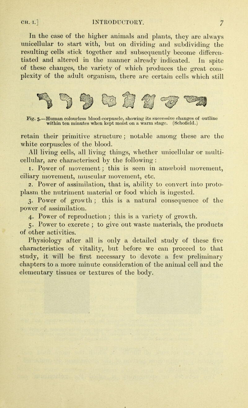 In the case of the higher animals and plants, they are always luiicellular to start with, but on dividing and subdividing the resulting cells stick together and subsequently become differen- tiated and altered in the manner already indicated. In spite of these changes, the variety of which produces the great com- plexity of the adult organism, there are certain cells which still I'ig' 5*—Human colourless blood-corpuscle, showing- its successive changes of outline within ten minutes when kept moist on a warm stage. (Schofleld.) retain their primitive structure; notable among these are the white corpuscles of the blood. All living cells, all living things, Avhether unicellular or multi- cellular, are characterised by the following : 1. Power of movement; this is seen in amoeboid movement, ciliary movement, muscular movement, etc. 2. Power of assimilation, that is, ability to convert into proto- plasm the nutriment material or food which is ingested. 3. Power of growth; this is a natural consequence of the power of assimilation. 4. Power of reproduction; this is a variety of growth. 5. Power to excrete ; to give out waste materials, the products of other activities. Physiology after all is only a detailed study of these five characteristics of vitality, but before we can proceed to that study, it will be first necessary to devote a few preliminary chapters to a more minute consideration of the animal cell and the elementary tissues or textures of the body.