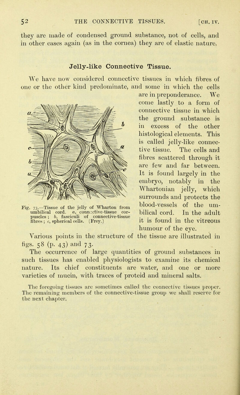 they are made of condensed ground substance, not of cells, and in other cases again (as in the cornea) they are of elastic nature. Jelly-like Connective Tissue. We have now considered connective tissues in which fibres of one or the other kind predominate, and some in wdiich the cells are in preponderance. We come lastly to a form of connective tissue in which the ground substance is in excess of the other histological elements. This is called jelly-like connec- tive tissue. The cells and fibres scattered through it are few and far between. It is found largely in the embryo, notably in the Whartonian jelly, which surrounds and protects the Fig. 73.-Tissue of the Jelly of Wharton from blood-VCSSCls of the um- umbilical cord, a, connective-tissue cor- bilical COrd. In the adult puscles ; b, fasciculi of connective-tissue •, • « i . fibres; c, spherical cells. (Frey.) it IS touud Ul the VltreOUS humour of the eye. Various points in the structure of the tissue are illustrated in figs. 58 (p. 43) ai^^ 73- The occurrence of large quantities of ground substances in such tissues has enabled physiologists to examine its chemical nature. Its chief constituents are water, and one or more varieties of mucin, with traces of proteid and mineral salts. The foregoing tissues are sometimes called the connective tissues proper. The remaining members of the connective-tissue group we shall reserve for the next chapter.