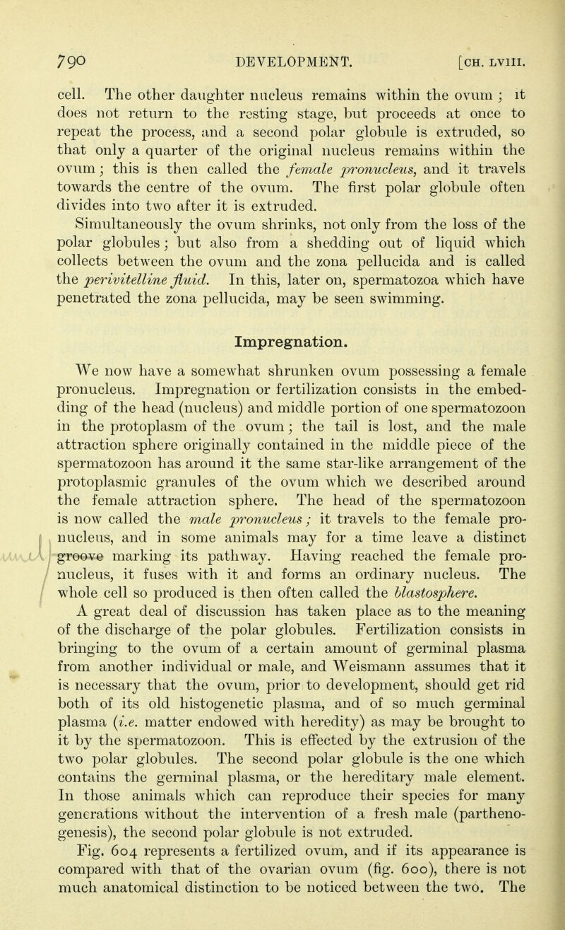 cell. The other daughter nucleus remains within the ovum ; it does not return to the resting stage, but proceeds at once to repeat the process, and a second polar globule is extruded, so that only a quarter of the original nucleus remains within the ovum; this is then called the female pronucleus^ and it travels towards the centre of the ovum. The first polar globule often divides into two after it is extruded. Simultaneously the ovum shrinks, not only from the loss of the polar globules; but also from a shedding out of liquid which collects between the ovum and the zona pellucida and is called the perivitelline fluid. In this, later on, spermatozoa which have penetrated the zona pellucida, may be seen swimming. We now have a somewhat shrunken ovum possessing a female pronucleus. Impregnation or fertilization consists in the embed- ding of the head (nucleus) and middle portion of one spermatozoon in the protoplasm of the ovum; the tail is lost, and the male attraction sphere originally contained in the middle piece of the spermatozoon has around it the same star-like arrangement of the protoplasmic granules of the ovum which we described around the female attraction sphere. The head of the spermatozoon is now called the male pronucleus; it travels to the female pro- [ nucleus, and in some animals may for a time leave a distinct /t^v^< ■ groove marking its pathway. Having reached the female pro- / nucleus, it fuses with it and forms an ordinary nucleus. The I whole cell so produced is then often called the hlastosphere. A great deal of discussion has taken place as to the meaning of the discharge of the polar globules. Fertilization consists in bringing to the ovum of a certain amount of germinal plasma from another individual or male, and Weismann assumes that it is necessary that the ovum, prior to development, should get rid both of its old histogenetic plasma, and of so much germinal plasma {i.e. matter endowed with heredity) as may be brought to it by the spermatozoon. This is effected by the extrusion of the two polar globules. The second polar globule is the one which contains the germinal plasma, or the hereditary male element. In those animals which can reproduce their species for many generations without the intervention of a fresh male (partheno- genesis), the second polar globule is not extruded. Fig. 604 represents a fertilized ovum, and if its appearance is compared with that of the ovarian ovum (fig. 600), there is not much anatomical distinction to be noticed between the two. The Impregnation.