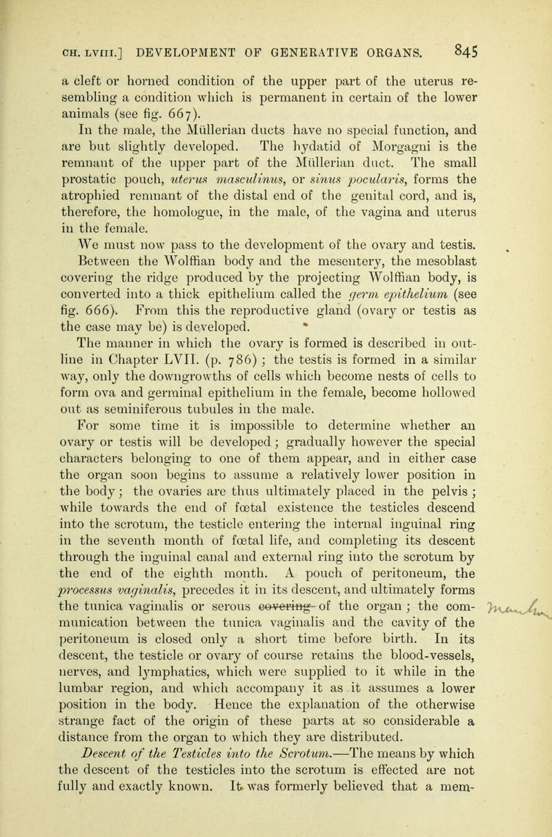 a cleft or horned condition of the upper part of the uterus re- sembling a condition which is permanent in certain of the lower animals (see fig. 667). In the male, the Miillerian ducts have no special function, and are but slightly developed. The hydatid of Morgagni is the remnant of the upper part of the Miillerian duct. The small prostatic pouch, uterm masculinus, or sinus j^ocularis, forms the atrophied renmant of the distal end of the genital cord, and is, therefore, the homologue, in the male, of the vagina and uterus in the female. We must now pass to the development of the ovary and testis. Between the Wolffian body and the mesentery, the mesoblast covering the ridge produced by the projecting Wolffian body, is converted into a thick epithelium called the ge7^m epithelium (see fig. 666). From this the reproductive gland (ovary or testis as the case may be) is developed. The manner in which the ovary is formed is described in out- line in Chapter LVII. (p. 786) ; the testis is formed in a similar way, only the downgrowths of cells which become nests of cells to form ova and germinal epithelium in the female, become hollowed out as seminiferous tubules in the male. For some time it is impossible to determine whether an ovary or testis will be developed; gradually however the special characters belonging to one of them appear, and in either case the organ soon begins to assume a relatively lower position in the body; the ovaries are thus ultimately placed in the pelvis ; while towards the end of foetal existence the testicles descend into the scrotum, the testicle entering the internal inguinal ring in the seventh month of foetal life, and completing its descent through the inguinal canal and external ring into the scrotum by the end of the eighth month, k pouch of peritoneum, the processus vaginalis, precedes it in its descent, and ultimately forms the tunica vaginalis or serous cohering- of the organ ; the com- munication between the tunica vaginalis and the cavity of the peritoneum is closed only a short time before birth. In its descent, the testicle or ovary of course retains the blood-vessels, nerves, and lymphatics, which were supplied to it while in the lumbar region, and which accompany it as it assumes a lower position in the body. Hence the explanation of the otherwise strange fact of the origin of these parts at so considerable a distance from the organ to which they are distributed. Descent of the Testicles into the Scrotum.—The means by which the descent of the testicles into the scrotum is effected are not fully and exactly known. It was formerly believed that a mem-