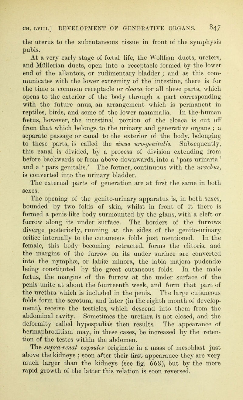 the uterus to the subcutaneous tissue in front of the symphysis pubis. At a very early stage of foetal life, the Wolffian ducts, ureters, and Miillerian ducts, open into a receptacle formed by the lower end of the allantois, or rudimentary bladder ; and as this com- municates with the low^er extremity of the intestine, there is for the time a common receptacle or cloaca for all these parts, which opens to the exterior of the body through a part corresponding with the future anus, an arrangement which is permanent in reptiles, birds, and some of the lower mammalia. In the human foetus, however, the intestinal portion of the cloaca is cut off from that which belongs to the urinary and generative organs ; a separate passage or canal to the exterior of the body, belonging to these parts, is called the sinus uro-genitalis. Subsequently, this canal is divided, by a process of division extending from before backwards or from above downwards, into a ' pars urinaria ' and a ' pars genitalis.' The former, continuous with the urachiis, is converted into the urinary bladder. The external parts of generation are at first the same in both sexes. The opening of the genito-urinary apparatus is, in both sexes, bounded by two folds of skin, whilst in front of it there is formed a penis-like body surmounted by the glans, wdth a cleft or furrow along its under surface. The borders of the furrows diverge posteriorly, running at the sides of the genito-urinary orifice internally to the cutaneous folds just mentioned. In the female, this body becoming retracted, forms the clitoris, and the margins of the furrow on its under surface are converted into the nymphae, or labise minora, the labia majora pudendse being constituted by the great cutaneous folds. In the male foetus, the margins of the furrow at the under surface of the penis unite at about the fourteenth week, and form that part of the urethra which is included in the penis. The large cutaneous folds form the scrotum, and later (in the eighth month of develop- ment), receive the testicles, which descend into them from the abdominal cavity. Sometimes the urethra is not closed, and the deformity called hypospadias then results. The appearance of hermaphroditism may, in these cases, be increased by the reten- tion of the testes within the abdomen. The supra-renal capsules originate in a mass of mesoblast just above the kidneys ; soon after their first appearance they are very much larger than the kidneys (see fig. 668), but by the more rapid growth of the latter this relation is soon reversed.