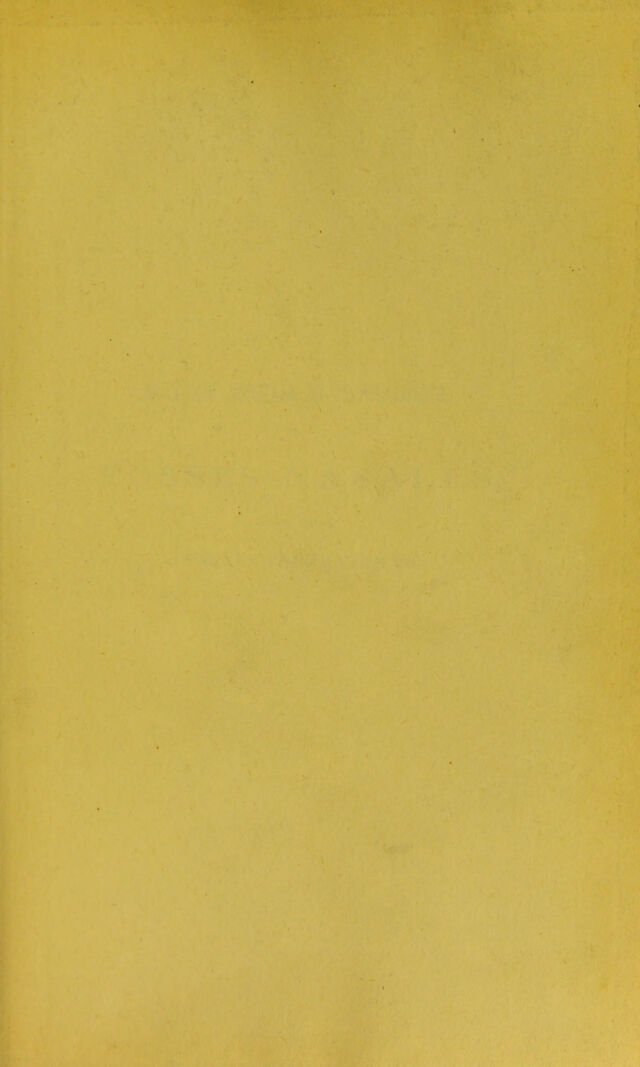 digitised image 3