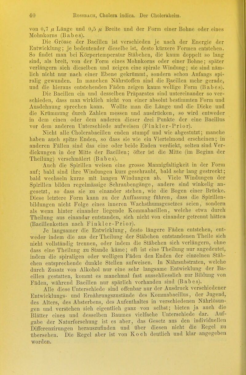 von 0,7 ß Länge und 0,5 ß Breite und der Form einer Bohne oder eines Mohnkorus (B a b e s). Die Grösse der Bacillen ist verschieden je nach der Energie der Entwicklung; je bedeutender dieselbe ist, desto kürzere Formen entstehen. So findet man bei Körpertemperatur Stäi)chen, die kaum doppelt so lang sind, als breit, von der Form eines Mohnkorns oder einer Bohne; später verlängern sich dieselben und zeigen eine spirale Windung; sie sind näm- lich nicht nur nach einer Ebene gekrümmt, sondern schon Anfangs spi- ralig gewunden. In manclien Nährstoffen sind die Bacillen mehr gerade, und die hieraus entstehenden Fäden zeigen kaum wellige Form (Babes). Die Bacillen ein und desselben Präparates sind untereinander so ver- schieden, dass man wirklich nicht von einer absolut bestimmten Form und Ausdehnung sprechen kann. Wollte man die Länge und die Dicke und die Krümmung durch Zahlen messen und ausdrücken, so wird entweder in dem einen oder dem anderen dieser drei Punkte der eine Bacillus vor dem anderen Unterschiede aufweisen (Finkler-Prior). Nicht alle Cholerabacilleu enden stumpf und wie abgestutzt; manche haben auch spitze Enden, so dass sie wie ein Viertelmond erscheinen; in anderen Fällen sind das eine oder beide Enden verdickt, selten sind Ver- dickungen in der Mitte der Bacillen; öfter ist die Mitte (im Beginn der Theilung) verschmälert (Babes). Auch die Spirillen weisen eine grosse Mannigfaltigkeit in der Form auf; bald sind ihre Windungen kurz geschraubt, bald sehr lang gestreckt; bald wechseln kurze mit langen Windungen ab. Viele Windungen der Spirillen bilden regelmässige Schraubengänge, andere sind winkelig an- gesetzt, so dass sie zu einander stehen, wie die Bogen einer Brücke. Diese letztere Form kann zu der Auffassung führen, dass die Spirillen- bilduugen nicht Folge eines inneren Wachsthumsgesetzes seien, sondern als wenn hinter einander liegende Kommabacillen, welche etwa durch Theilung aus einander entstanden, sich nicht von einander getrennt hätten (Bacillenketten nach Finkler-Prior). Je langsamer die Entwicklung, desto längere Fäden entstehen, ent- weder indem die aus der Theilung der Stäbchen entstandenen Theile sich nicht vollständig trennen, oder indem die Stäbchen sich verlängern, ohne dass eine Theilung zu Stande käme; oft ist eine Theilung nur augedeutet, indem die spiraligen oder welligen Fäden den Enden der einzelnen Stäb- chen entsprechende dunkle Stellen aufweisen. In Nährsubsü-aten, welche durch Zusatz von Alkohol nur eine sehr langsame Entwicklung der Ba- cillen gestatten, kommt es manchmal fast ausschliesslich zur Bildung von Fäden, während Bacillen nur spärlich vorhanden sind (Babes). Alle diese Unterschiede sind offenbar nur der Ausdruck verschiedener Entwicklungs- und Ernährungszustände des Kommabacillus, der Jugend, des Alters, des Absterbens, des Aufenthaltes in verschiedenen Nährlösun- gen und verstehen sich eigentlich ganz von selbst; bieten ja auch die Blätter eines und desselben Baumes vielfache Unterschiede dar. Auf- gabe der Naturforschung ist es aber, das Gesetz aus den individuellen Difierenzirungen herauszufinden und über diesen nicht die Regel zu übersehen. Die Eegel aber ist von Koch deutlich und klar augegeben worden.