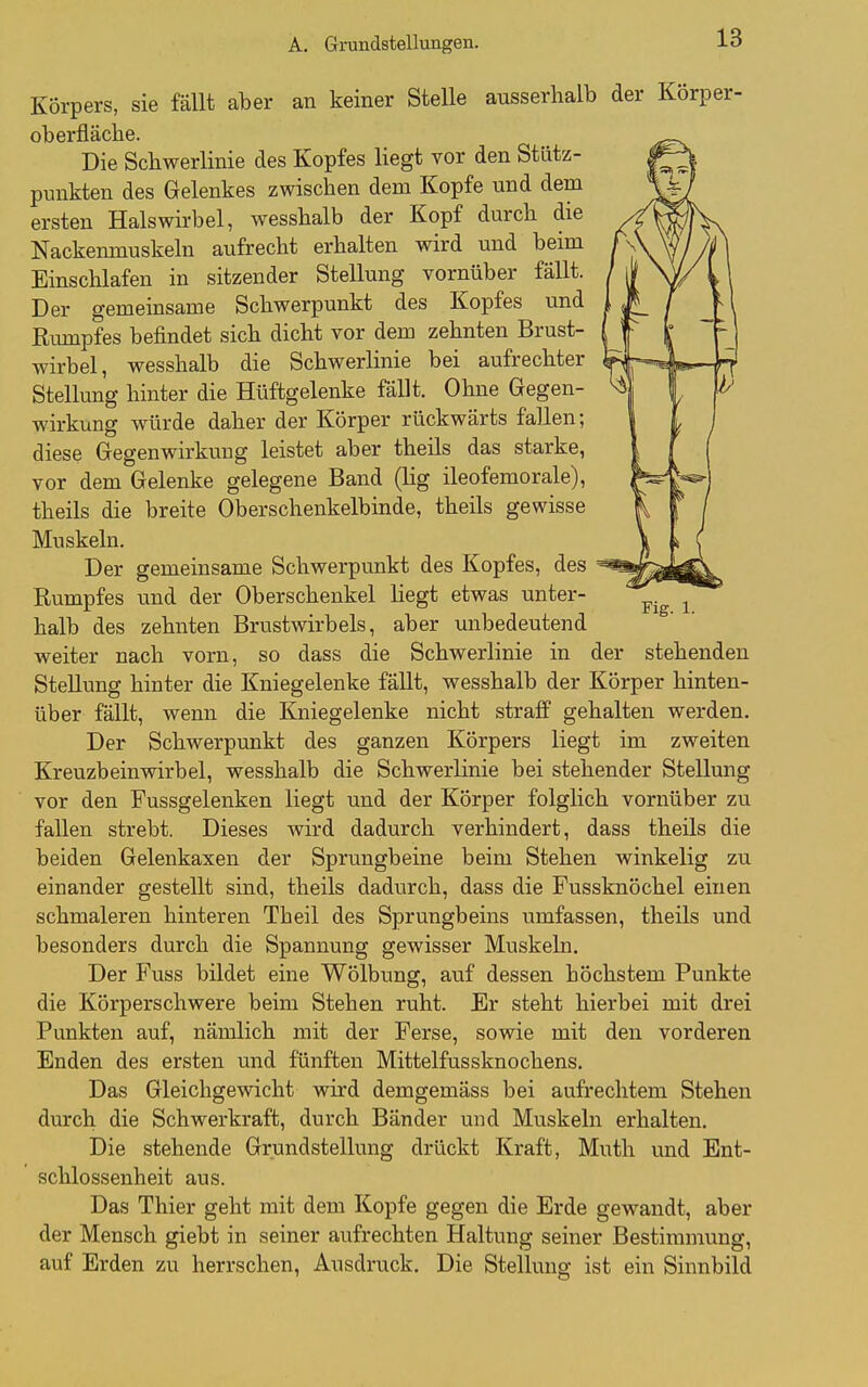 Körpers, sie fällt aber an keiner Stelle ausserhalb der Körp Oberfläche. Die Schwerlinie des Kopfes liegt vor den Stütz- punkten des Gelenkes zwischen dem Kopfe und dem ersten Halswirbel, wesshalb der Kopf durch die Nackenmuskeln aufrecht erhalten wird und beim Einschlafen in sitzender Stellung vornüber fällt. Der gemeinsame Schwerpunkt des Kopfes und Rmnpfes befindet sich dicht vor dem zehnten Brust- wirbel, wesshalb die Schwerlinie bei aufrechter Stellung hinter die Hüftgelenke fällt. Ohne Gegen- wirkung würde daher der Körper rückwärts fallen; diese Gegenwirkung leistet aber theils das starke, vor dem Gelenke gelegene Band (lig ileofemorale), theils die breite Oberschenkelbinde, theils gewisse Muskeln. Der gemeinsame Schwerpunkt des Kopfes, des Rumpfes und der Oberschenkel liegt etwas unter- halb des zehnten Brustwirbels, aber unbedeutend weiter nach vorn, so dass die Schwerlinie in der stehenden Stellung hinter die Kniegelenke fäUt, wesshalb der Körper hinten- über fällt, wenn die Kniegelenke nicht straff gehalten werden. Der Schwerpunkt des ganzen Körpers liegt im zweiten Kreuzbein wir bei, wesshalb die Schwerlinie bei stehender Stellung vor den Fussgelenken liegt und der Körper folglich vornüber zu fallen strebt. Dieses wird dadurch verhindert, dass theils die beiden Gelenkaxen der Sprungbeine beim Stehen winkelig zu einander gestellt sind, theils dadurch, dass die Fussknöchel einen schmaleren hinteren Theil des Sprungbeins umfassen, theils und besonders durch die Spannung gewisser Muskeln. Der Fuss bildet eine Wölbung, auf dessen höchstem Punkte die Körperschwere beim Stehen ruht. Er steht hierbei mit drei Punkten auf, nämlich mit der Ferse, sowie mit den vorderen Enden des ersten und fünften Mittelfussknochens, Das Gleichgewicht wird demgemäss bei aufrechtem Stehen durch die Schwerkraft, durch Bänder und Muskeln erhalten. Die stehende Grundstellung drückt Kraft, Muth und Ent- schlossenheit aus. Das Thier geht mit dem Kopfe gegen die Erde gewandt, aber der Mensch giebt in seiner aufrechten Haltung seiner Bestimmung, auf Erden zu herrschen, Ausdruck. Die Stellung ist ein Sinnbild