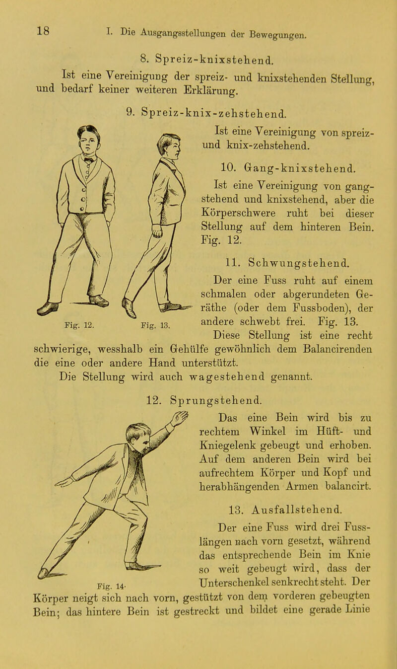 8. Spreiz-knixstehend. Ist eine Vereinigung der spreiz- und knixstehenden Stellung, und bedarf keiner weiteren Erklärung. 9. Spreiz-knix-zehstehend. Ist eine Vereinigung von spreiz- und knix-zehstehend. 10. Gang-knixstehend. Ist eine Vereinigung von gang- stehend und knixstehend, aber die Körperschwere ruht bei dieser Stellung auf dem hinteren Bein. Fig. 12. 11. Schwungstehend. Der eine Fuss ruht auf einem schmalen oder abgerundeten Ge- räthe (oder dem Fussboden), der Fig. 12. ^ Fig. 13. andere schwebt frei. Fig. 13. Diese Stellung ist eine recht schwierige, wesshalb ein Gehülfe gewöhnlich dem Balancirenden die eine oder andere Hand unterstützt. Die Stellung wird auch wagestehend genannt. 12. Sprungstehend. ^ Das eine Bein wird bis zu rechtem Winkel im Hüft- imd Kniegelenk gebeugt und erhoben. Auf dem anderen Bein wird bei aufrechtem Körper und Kopf und herabhängenden Armen balancirt. 13. Ausfallstehend. Der eine Fuss wird drei Fuss- längen nach vorn gesetzt, während das entsprechende Bein im Knie so weit gebeugt wird, dass der pjg Unterschenkel senkrecht steht. Der Körper neigt sich nach vorn, gestützt von dein vorderen gebeugten Bein; das hintere Bein ist gestreckt und bildet eine gerade Linie