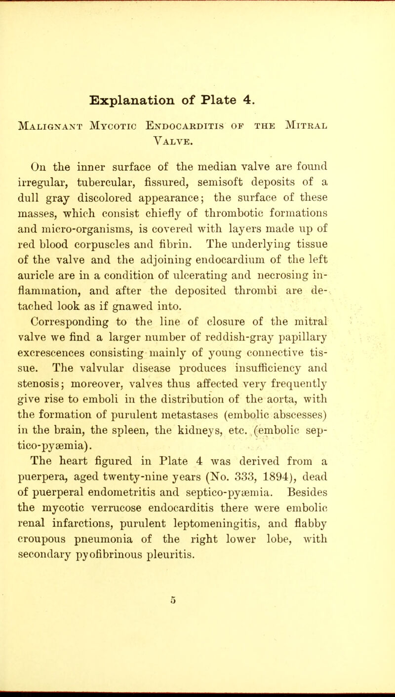 Malignant Mycotic Endocarditis of the Mitral Valve. On the inner surface of the median valve are found irregular, tubercular, fissured, semisoft deposits of a dull gray discolored appearance; the surface of these masses, which consist chiefly of thrombotic formations and micro-organisms, is covered with layers made up of red blood corpuscles and fibrin. The underlying tissue of the valve and the adjoining endocardium of the left auricle are in a condition of ulcerating and necrosing in- flammation, and after the deposited thrombi are de- tached look as if gnawed into. Corresponding to the line of closure of the mitral valve we find a larger number of reddish-gray papillary excrescences consisting mainly of young connective tis- sue. The valvular disease produces insufficiency and stenosis; moreover, valves thus affected very frequently give rise to emboli in the distribution of the aorta, with the formation of purulent metastases (embolic abscesses) in the brain, the spleen, the kidneys, etc. (embolic sep- tico-pysemia). The heart figured in Plate 4 was derived from a puerpera, aged twenty-nine years (No. 333, 1894), dead of puerperal endometritis and septico-pycsmia. Besides the mycotic verrucose endocarditis there were embolic renal infarctions, purulent leptomeningitis, and flabby croupous pneumonia of the right lower lobe, with secondary pyofibrinous pleuritis. 5