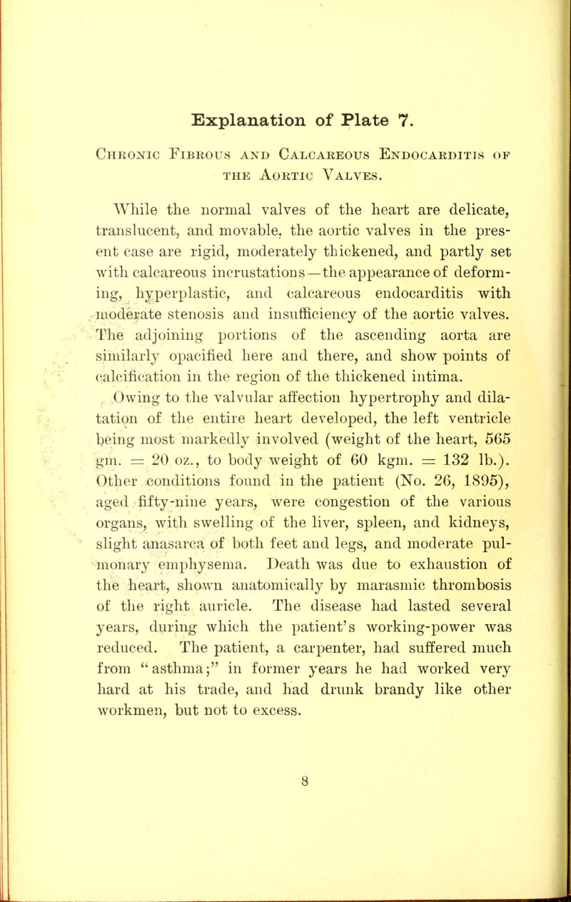 Chronic Fibrous and Calcareous Endocarditis of THE Aortic Valves. While the normal valves of the heart are delicate, translucent, and movable, the aortic valves in the pres- ent case are rigid, moderately thickened, and partly set with calcareous incrustations—the appearance of deform- ing, hyperplastic, and calcareous endocarditis with -moderate stenosis and insufficiency of the aortic valves. .The adjoining portions of the ascending aorta are similarly opacified here and there, and show points of calcification in the region of the thickened intima. . .Owing to the valvular affection hypertrophy and dila- tation of the entire heart developed, the left ventricle l)eing most markedly involved (weight of the heart, 565 gm. = 20 oz., to body weight of 60 kgm. = 132 lb.). Other ^conditions found in the patient (No. 26, 1895), aged fifty-nine years, were congestion of the various organs, with swelling of the liver, spleen, and kidneys, slight anasarca of both feet and legs, and moderate pul- -inonary emphysema. Death was due to exhaustion of the heart, shawn anatomically by marasmic thrombosis of the right auricle. The disease had lasted several years, during which the patient's working-power was reduced. The patient, a carpenter, had suffered much from asthma; in former years he had worked very hard at his trade, and had drunk brandy like other workmen, but not to excess.