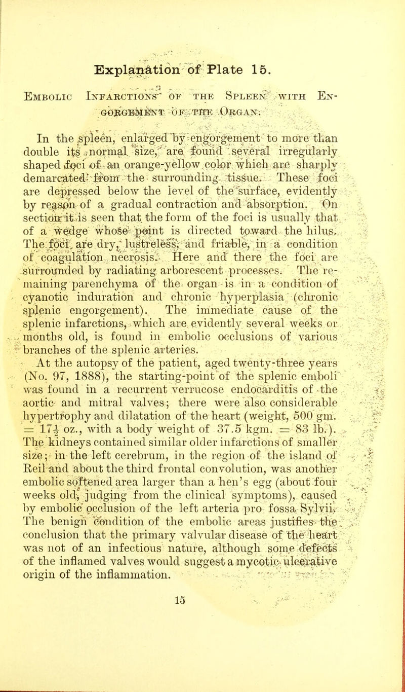 Embolic Infarctions^ of the Spleen' with En- g<)3GME*n^t oF.TfTK .Organ; In the .spleen, enlarged by'engprgement to more than double it§-7normal, size,''are found several irregularly shaped «f^Qci of an orange-yellow color which are sharplj demarcated'; from' the surrounding, tissue. These foci are depressed below the level of the'surface, evidently by reason of a gradual contraction ancl absorption. On sectidirit jis seen that the form of the foci is usually that of a wedge whoge-p^int is directed toward the hilus^ The foci, a/e dry^; lustreless^ and friable,: in a condition of coagulation: necrosis. Here and there the foci; are surrounded by radiating, arborescent processes. The re- maining parenchyma of the organ is in a condition of cyanotic induration and chronic hyperplasia (chronic splenic engorgement). The immediate cause of the splenic infarctions, which are evidently several weeks or months old, is found in embolic occlusions of various branches of the splenic arteries. ; At the autopsy of the patient, aged twenty-three years (No. 97, 1888), the starting-point of the splenic emboli was found in a recurrent verrucose endocarditis of the aortic and mitral valves; there were also considerable hypertrophy and dilatation of the heart (weight, 500 gm. = 17^ oz., with a body weight of 37.5 kgm. = So lb.). The kidneys contained similar older infarctions of smaller size;' in the left cerebrum, in the region of the island of Reil and about the third frontal convolution, was another embolic softened area larger than a hen's egg (about four weeks oldj judging from the clinical symptoms), caused by embolic occlusion of the left arteria pro fossa Sylvii/ The benigii Condition of the embolic areas justifies the conclusion that the primary valvular disease of the heart was not of an infectious nature, although some defects of the inflamed valves would suggest a mycotiC'ulcerative origin of the inflammation. - : v- ^ - -