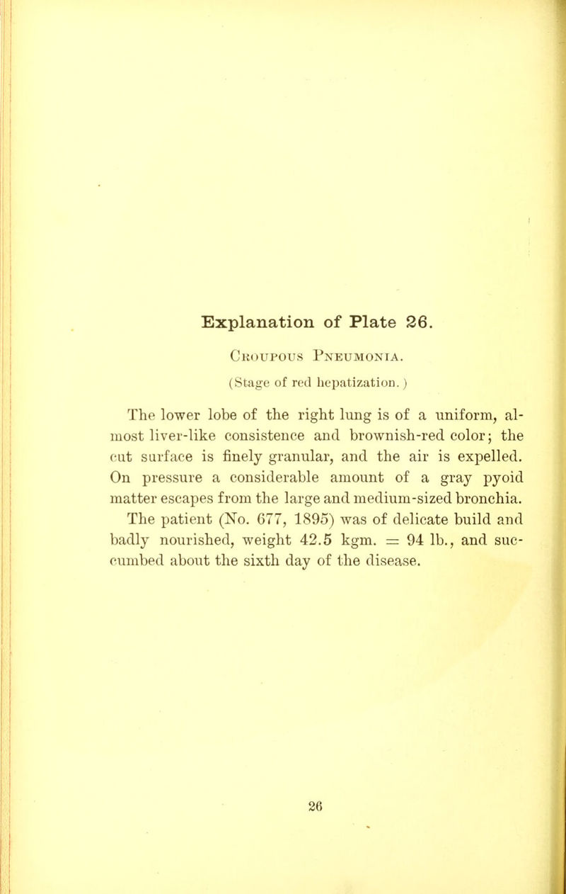 Croupous Pneumonia. (Stage of red hepatization.) The lower lobe of the right lung is of a uniform, al- most liver-like consistence and brownish-red color; the cut surface is finely granular, and the air is expelled. On pressure a considerable amount of a gray pyoid matter escapes from the large and medium-sized bronchia. The patient (No. 677, 1895) was of delicate build and badly nourished, weight 42.5 kgm. = 94 lb., and suc- cumbed about the sixth day of the disease. 26