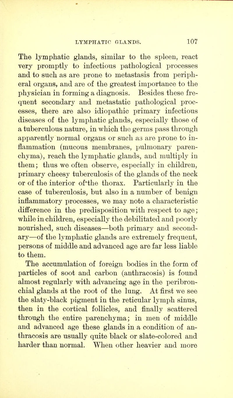 The lymphatic glands, similar to the spleen, react very promptly to infectious pathological processes and to such as are prone to metastasis from periph- eral organs, and are of the greatest importance to the physician in forming a diagnosis. Besides these fre- quent secondary and metastatic pathological proc- esses, there are also idiopathic primary infectious diseases of the lymphatic glands, especially those of a tuberculous nature, in which the germs pass through apparently normal organs or such as are prone to in- flammation (mucous membranes, pulmonary paren- chyma), reach the lymphatic glands, and multiply in them; thus we often observe, especially in children, primary cheesy tuberculosis of the glands of the neck or of the interior of'the thorax. Particularly in the case of tuberculosis, but also in a number of benign inflammatory processes, we may note a characteristic difference in the predisposition with respect to age; while in children, especially the debilitated and poorly nourished, such diseases—both primary and second- ary—of the lymphatic glands are extremely frequent, persons of middle and advanced age are far less liable to them. The accumulation of foreign bodies in the form of particles of soot and carbon (anthracosis) is found almost regularly with advancing age in the peribron- chial glands at the root of the lung. At first we see the slaty-black pigment in the reticular lymph sinus, then in the cortical follicles, and finally scattered through the entire parenchyma; in men of middle and advanced age these glands in a condition of an- thracosis are usually quite black or slate-colored and harder than normal. When other heavier and more