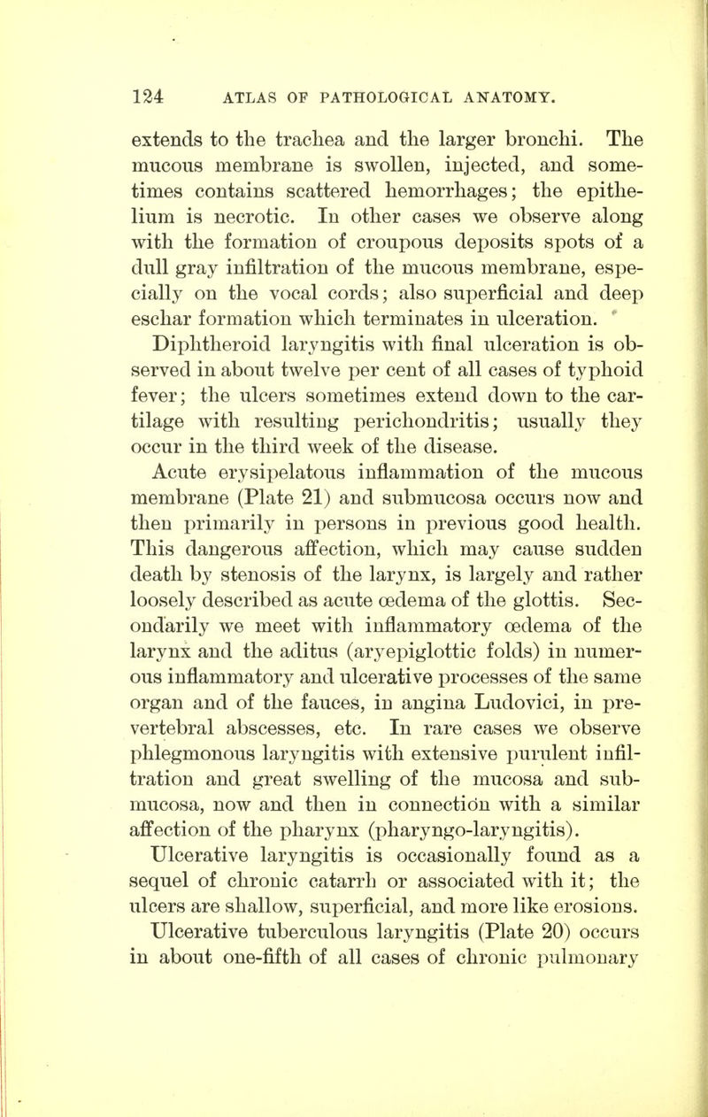 extends to the trachea and the larger bronchi. The mucous membrane is swollen, injected, and some- times contains scattered hemorrhages; the epithe- lium is necrotic. In other cases we observe along with the formation of croupous deposits spots of a dull gray infiltration of the mucous membrane, espe- cially on the vocal cords; also superficial and deep eschar formation which terminates in ulceration. Diphtheroid laryngitis with final ulceration is ob- served in about twelve per cent of all cases of typhoid fever; the ulcers sometimes extend down to the car- tilage with resulting perichondritis; usually they occur in the third week of the disease. Acute erysipelatous inflammation of the mucous membrane (Plate 21) and submucosa occurs now and then primarily in persons in previous good health. This dangerous affection, which may cause sudden death by stenosis of the larynx, is largely and rather loosely described as acute oedema of the glottis. Sec- ondarily we meet with inflammatory oedema of the larynx and the aditus (aryepiglottic folds) in numer- ous inflammatory and ulcerative processes of the same organ and of the fauces, in angina Ludovici, in pre- vertebral abscesses, etc. In rare cases we observe phlegmonous laryngitis with extensive purulent infil- tration and great swelling of the mucosa and sub- mucosa, now and then in connection with a similar affection of the pharynx (pharyngo-laryngitis). Ulcerative laryngitis is occasionally found as a sequel of chronic catarrh or associated with it; the ulcers are shallow, superficial, and more like erosions. Ulcerative tuberculous laryngitis (Plate 20) occurs in about one-fifth of all cases of chronic pulmonary