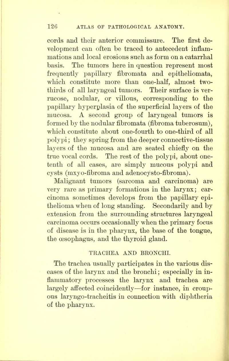cords and their anterior commissure. The first de- velopment can often be traced to antecedent inflam- mations and local erosions such as form on a catarrhal basis. The tumors here in question represent most frequently papillary fibromata and epitheliomata, which constitute more than one-half, almost two- thirds of all laryngeal tumors. Their surface is ver- rucose, nodular, or villous, corresponding to the papillary hyperplasia of the superficial layers of the mucosa. A second group of laryngeal tumors is formed by the nodular fibromata (fibroma tuberosum), which constitute about one-fourth to one-third of all polypi; they spring from the deeper connective-tissue layers of the mucosa and are seated chiefly on the true vocal cords. The rest of the polypi, about one- tenth of all cases, are simply mucous polypi and cysts (mxyo-fibroma and adenocysto-fibroma). Malignant tumors (sarcoma and carcinoma) are very rare as primary formations in the larynx; car- cinoma sometimes develops from the papillary epi- thelioma when of long standing. Secondarily and by extension from the surrounding structures laryngeal carcinoma occurs occasionally when the primary focus of disease is in the pharynx, the base of the tongue, the oesophagus, and the thyroid gland. TRACHEA AND BRONCHI. The trachea usually participates in the various dis- eases of the larynx and the bronchi; especially in in- flammatory processes the larynx and trachea are largely affected coincidently—for instance, in croup- ous laryngo-tracheitis in connection with diphtheria of the pharynx.