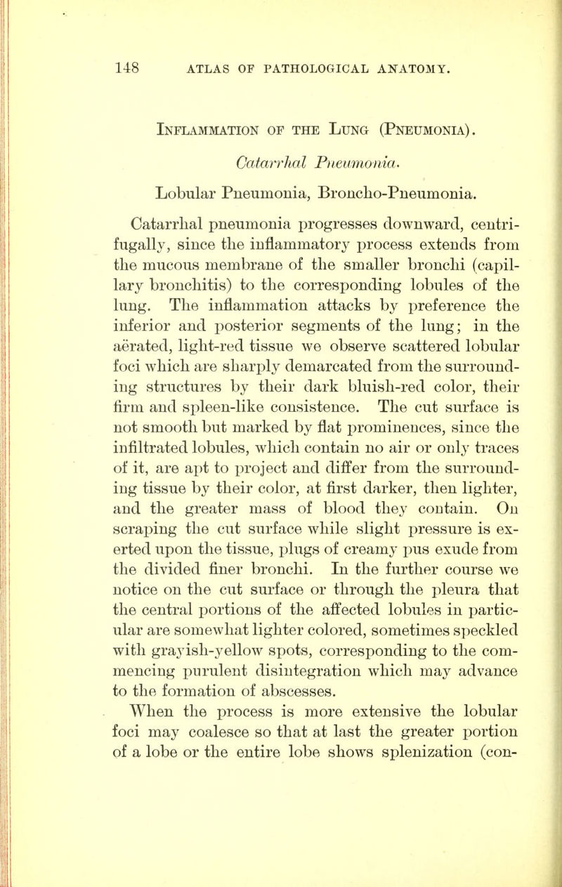 Inflammation of the Lung (Pneumonia). Catarrhal F)ieamonia. Lobular Pneumonia, Broncho-Pueumonia. Catarrhal pneumonia progresses downward, centri- fugally, since the inflammatory process extends from the mucous membrane of the smaller bronchi (capil- lary bronchitis) to the corresponding lobules of the lung. The inflammation attacks by preference the inferior and posterior segments of the lung; in the aerated, light-red tissue we observe scattered lobular foci which are sharply demarcated from the surround- ing structures by their dark bluish-red color, their firm and spleen-like consistence. The cut surface is not smooth but marked by flat prominences, since the infiltrated lobules, which contain no air or only traces of it, are apt to project and differ from the surrouud- ing tissue by their color, at first darker, then lighter, and the greater mass of blood they contain. On scraping the cut surface while slight pressure is ex- erted upon the tissue, plugs of creamy pus exude from the divided finer bronchi. In the further course we notice on the cut surface or through the pleura that the central portions of the affected lobules in partic- ular are somewhat lighter colored, sometimes speckled with grayish-yellow spots, corresponding to the com- mencing purulent disintegration which may advance to the formation of abscesses. When the process is more extensive the lobular foci may coalesce so that at last the greater portion of a lobe or the entire lobe shows splenization (con-