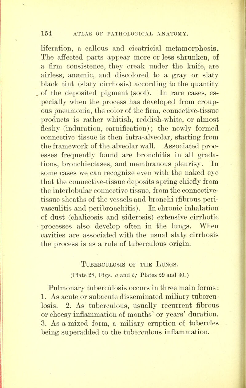 liferation, a callous and cicatricial metamorpliosis. The affected parts appear more or less slirunken, of a firm consistence, they creak under the knife, are airless, anaemic, and discolored to a gray or slaty black tint (slaty cirrhosis) according to the quantity of the deposited pigment (soot). In rare cases, es- pecially when the process has developed from croup- ous pneumonia, the color of the firm, connective-tissue products is rather whitish, reddish-white, or almost fleshy (induration, carnification); the newly formed connective tissue is then intra-alveolar, starting from the framework of the alveolar wall. Associated proc- esses frequently found are bronchitis in all grada- tions, bronchiectases, and membranous pleurisy. In some cases we can recognize even with the naked eye that the connective-tissue deposits spring chiefly from the interlobular connective tissue, from the connective- tissue sheaths of the vessels and bronchi (fibrous peri- vasculitis and peribronchitis). In chronic inhalation of dust (chalicosis and siderosis) extensive cirrhotic l^rocesses also develop often in the lungs. When cavities are associated with the usual slaty cirrhosis the i)rocess is as a rule of tuberculous origin. Tuberculosis of the Lungs. (Plate 28, Figs, a and b; Plates 29 and 30.) Pulmonary tuberculosis occurs in three main forms: 1. As acute or subacute disseminated miliary tubercu- losis. 2. As tuberculous, usually recurrent fibrous or cheesy inflammation of months' or years' duration. 3. As a mixed form, a miliary eruption of tubercles being superadded to the tuberculous inflammation.