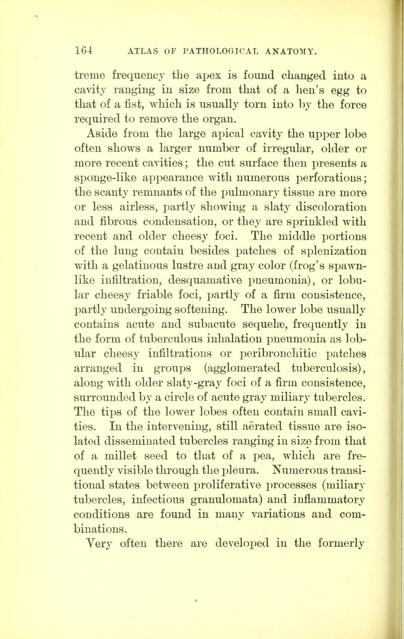 treme frequency the apex is found changed into a cavitj^ ranging in size from that of a hen's egg to that of a fist, which is usually torn into by the force required to remove the organ. Aside from the large ax)ical cavity the upper lobe often shows a larger number of irregular, older or more recent cavities; the cut surface then presents a sjjonge-like api)earance with numerous perforations; the scanty remnants of the pulmonar}^ tissue are more or less airless, partly showing a slaty discoloration and fibrous condensation, or they are sprinkled with recent and older cheesy foci. The middle portions of the lung contain besides patches of splenization with a gelatinous lustre and gray color (frog's spawn- like infiltration, desquamative pneumonia), or lobu- lar cheesy friable foci, partly of a firm consistence, partly undergoing softening. The lower lobe usually contains acute and subacute sequelae, frequently in the form of tuberculous inhalation pneumonia as lob- ular cheesy infiltrations or peribronchitic patches arranged in groups (agglomerated tuberculosis), along with older slaty-gray foci of a firm consistence, surrounded by a circle of acute gray miliary tubercles. The tips of the lower lobes often contain small cavi- ties. In the intervening, still aerated tissue are iso- lated disseminated tubercles ranging in size from that of a millet seed to that of a pea, which are fre- quently visible through the pleura. Numerous transi- tional states between proliferative processes (miliary tubercles, infectious granulomata) and inflammatory conditions are found in many variations and com- binations. Very often there are developed in the formerly