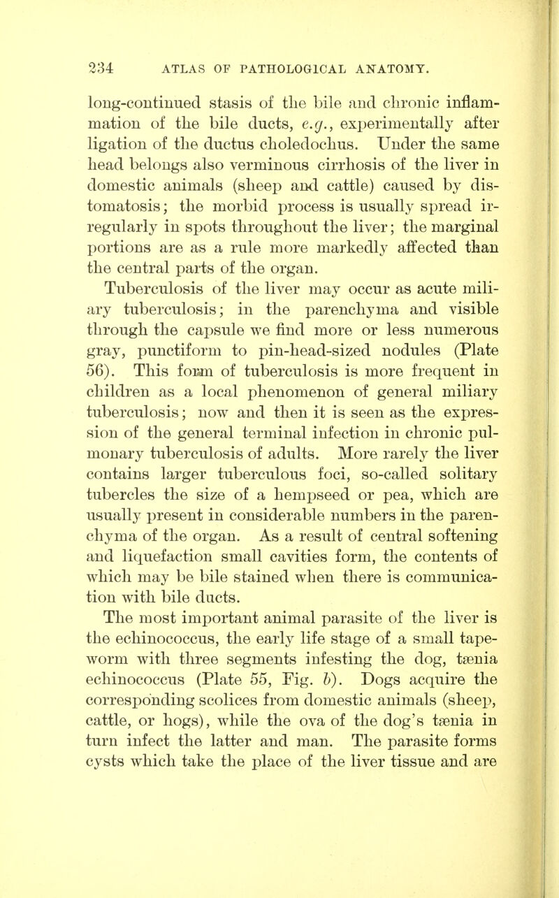 long-continued stasis of the bile and clironic inflam- mation of the bile ducts, e.g., exx^erimentally after ligation of the ductus choledochus. Under the same head belongs also verminous cirrhosis of the liver in domestic animals (sheep and cattle) caused by dis- tomatosis; the morbid process is usually spread ir- regularly in spots throughout the liver; the marginal portions are as a rule more markedly affected than the central parts of the organ. Tuberculosis of the liver may occur as acute mili- ary tuberculosis; in the parenchyma and visible through the capsule we find more or less numerous gray, punctiform to pin-head-sized nodules (Plate 56). This for^ of tuberculosis is more frequent in children as a local phenomenon of general miliary tuberculosis; now and then it is seen as the expres- sion of the general terminal infection in chronic pul- monary tuberculosis of adults. More rarely the liver contains larger tuberculous foci, so-called solitary tubercles the size of a hempseed or pea, which are usually present in considerable numbers in the paren- chyma of the organ. As a result of central softening and liquefaction small cavities form, the contents of which may be bile stained when there is communica- tion with bile ducts. The most important animal parasite of the liver is the echinococcus, the early life stage of a small tape- worm with three segments infesting the dog, tsenia echinococcus (Plate 55, Fig. h). Dogs acquire the corresponding scolices from domestic animals (sheep, cattle, or hogs), while the ova of the dog's taenia in turn infect the latter and man. The parasite forms cysts which take the place of the liver tissue and are