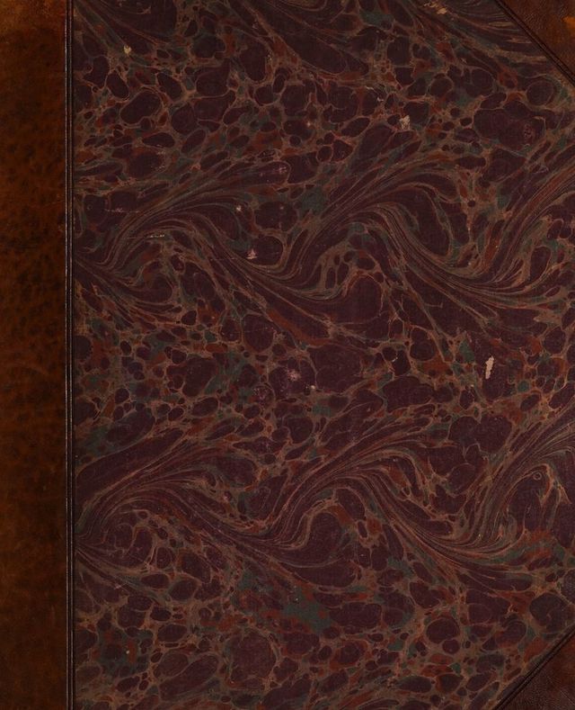 digitised image 1
